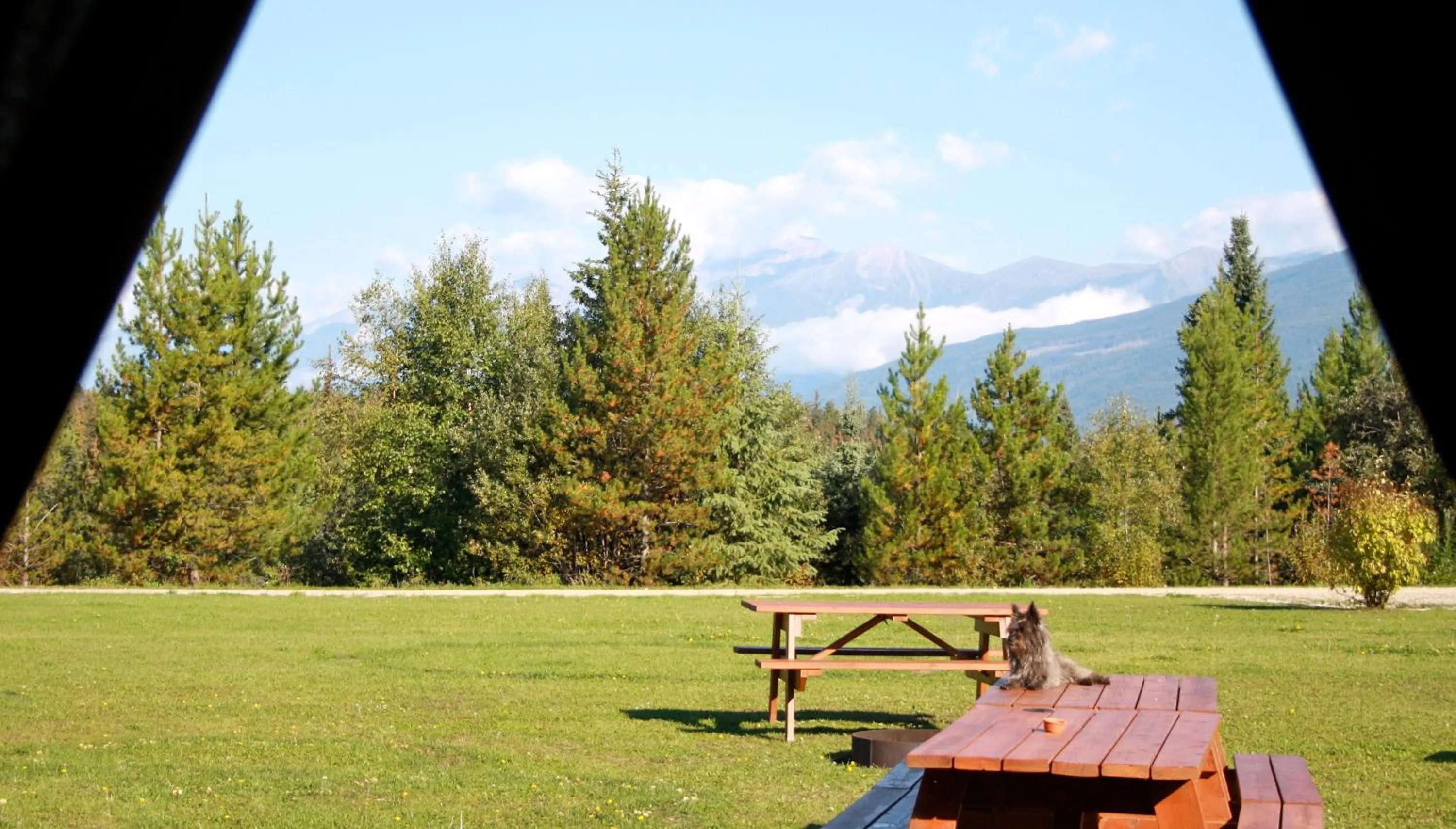 View (from property/room) in Twin Peaks Resort