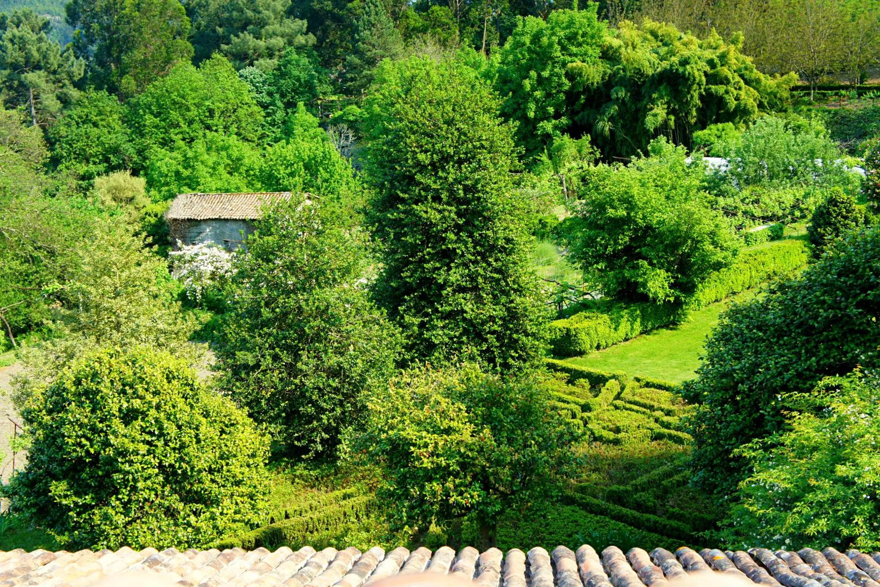Garden in Casa de Sezim