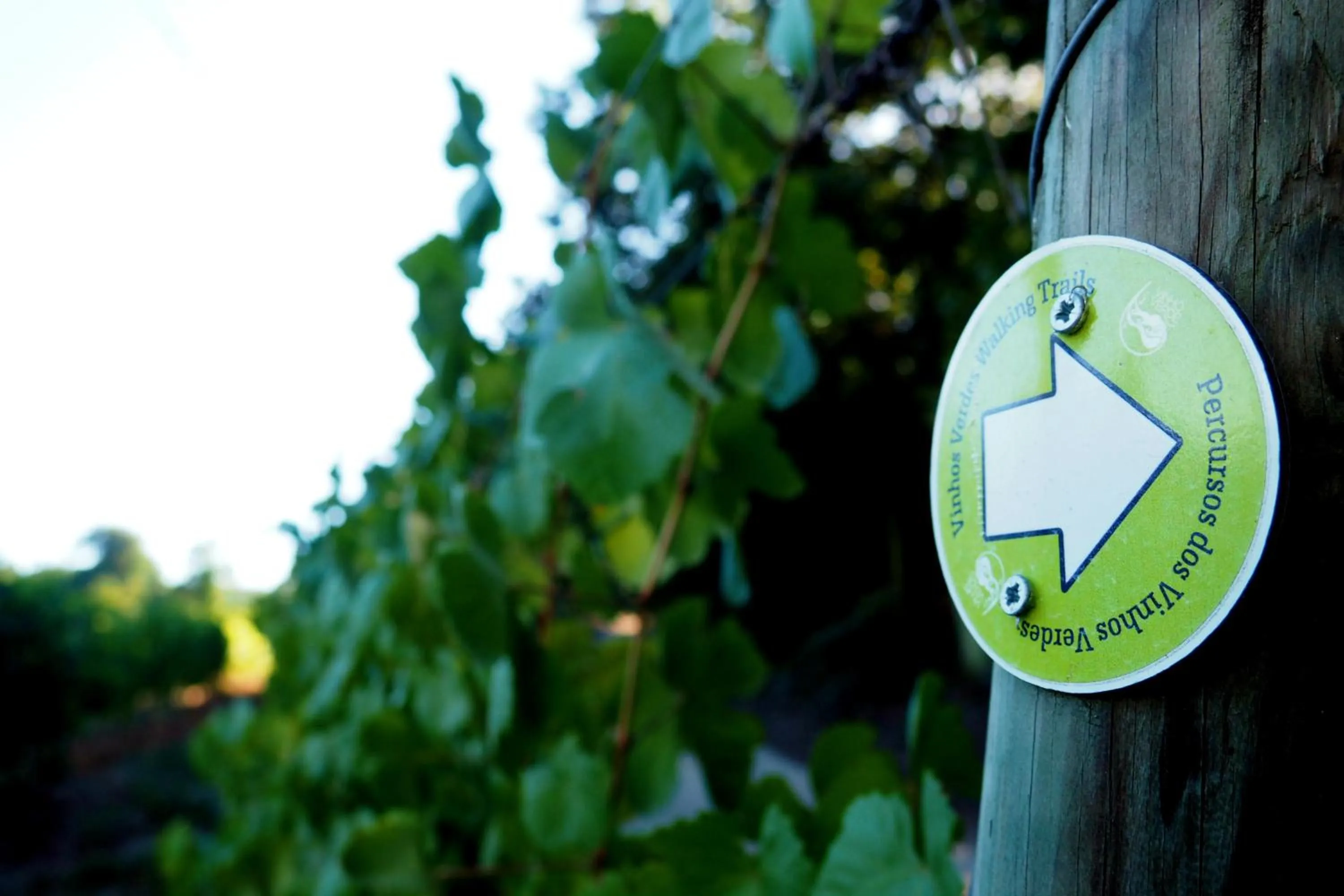 Hiking in Casa de Sezim