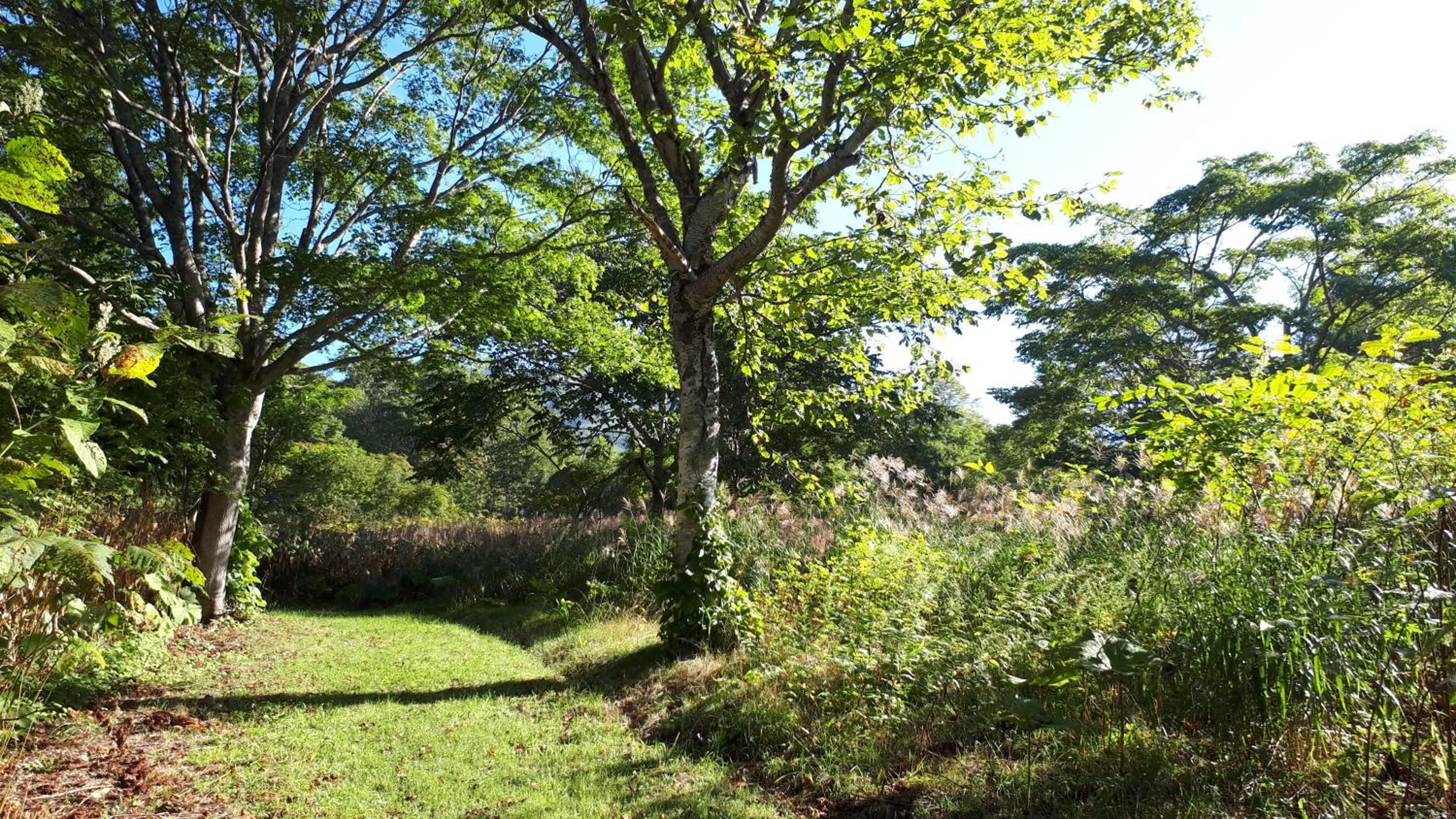 Neighbourhood in Bistare Kana