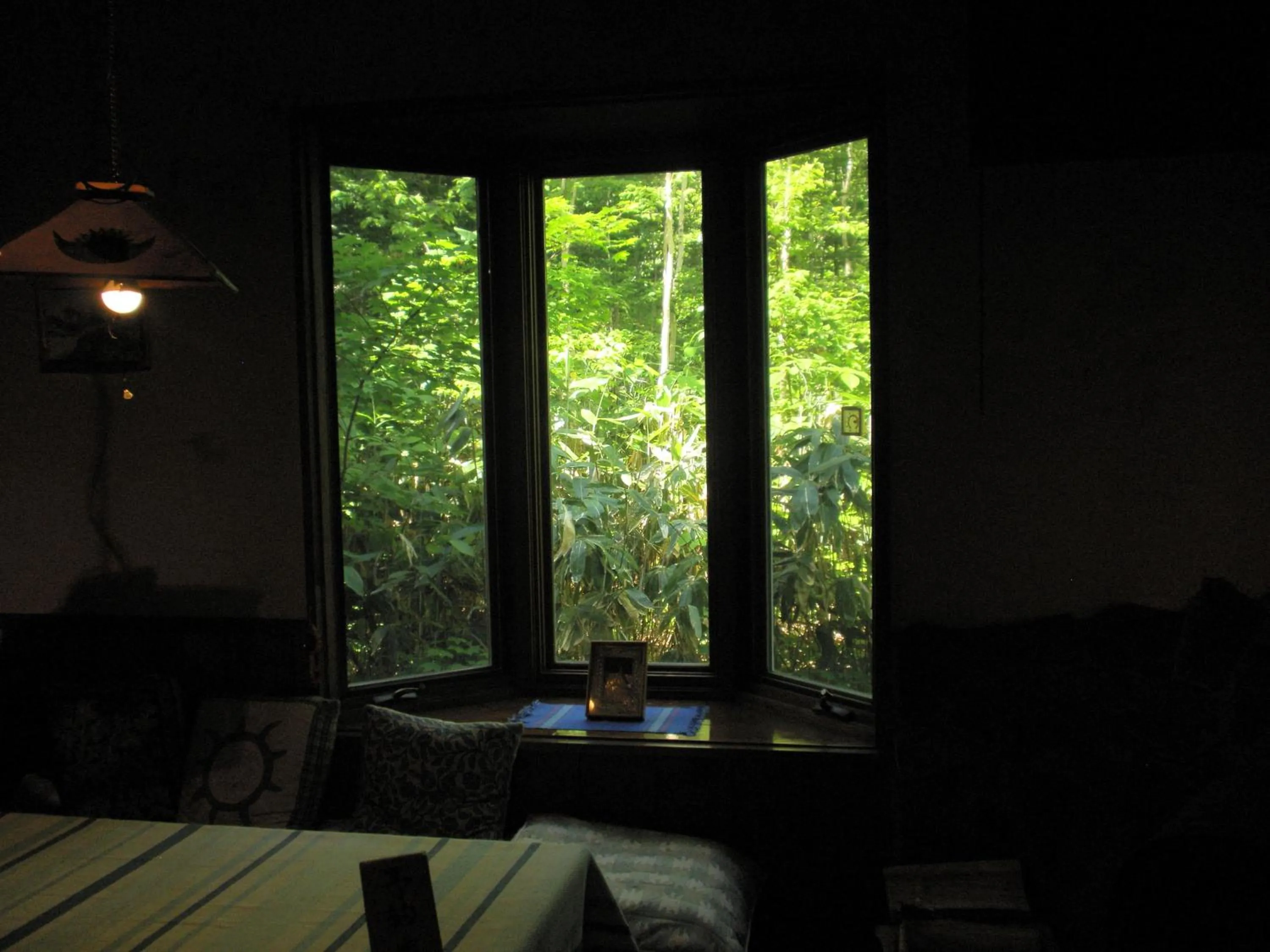 View (from property/room) in Bistare Kana