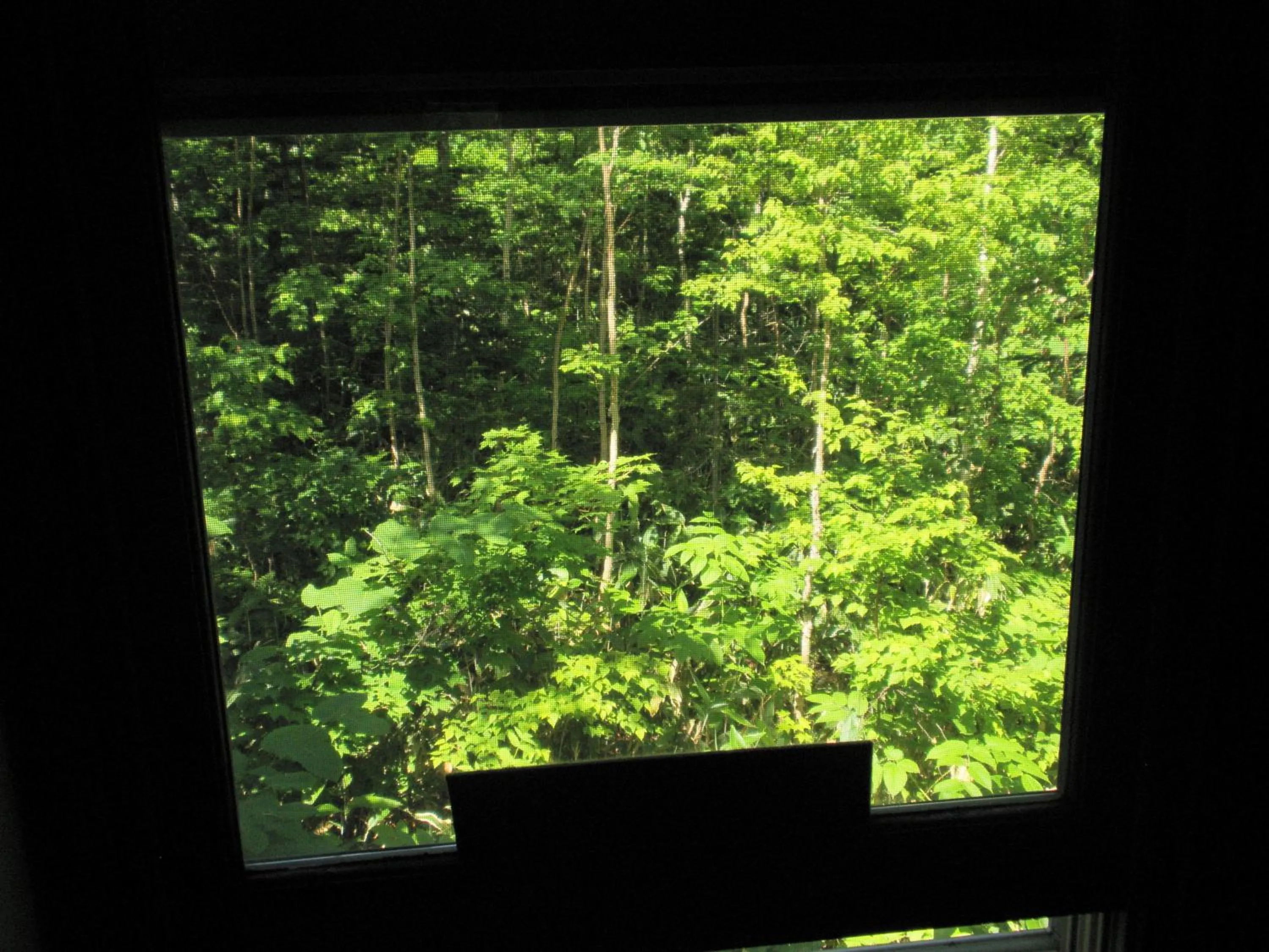 View (from property/room) in Bistare Kana