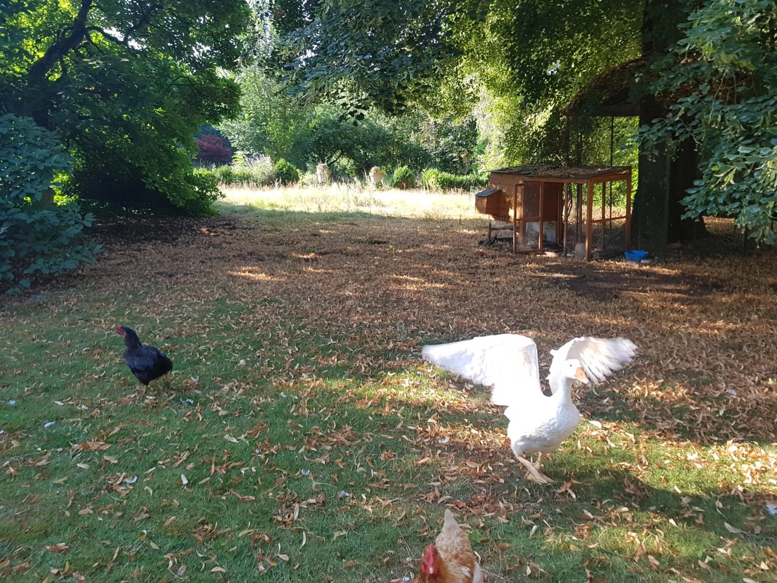 Garden in Château Lambert Moulinsart Hotel, shuttle airport, long term parking, snooker, large terrasse, dinner, breakfast