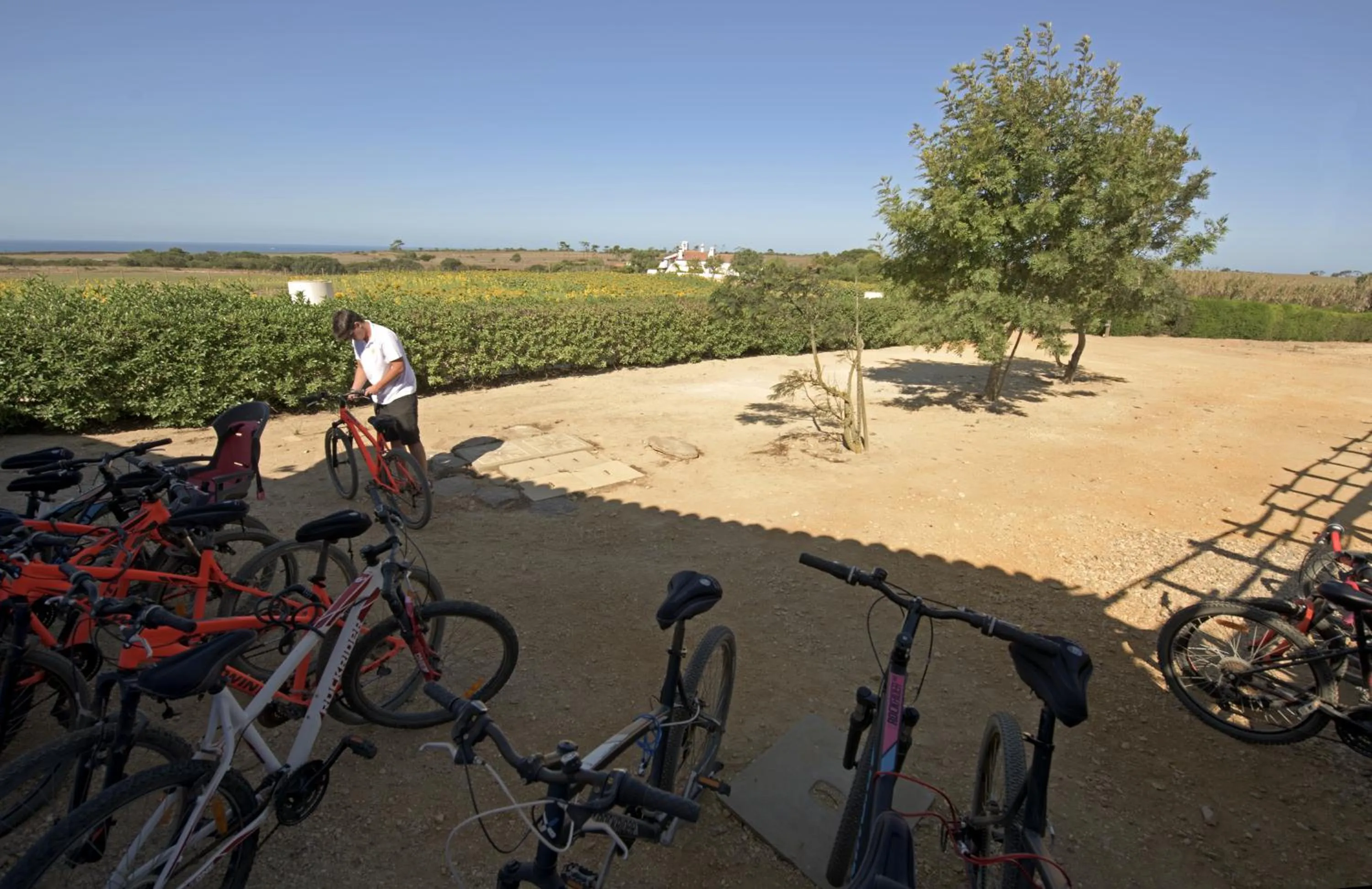 Activities in Herdade Do Touril