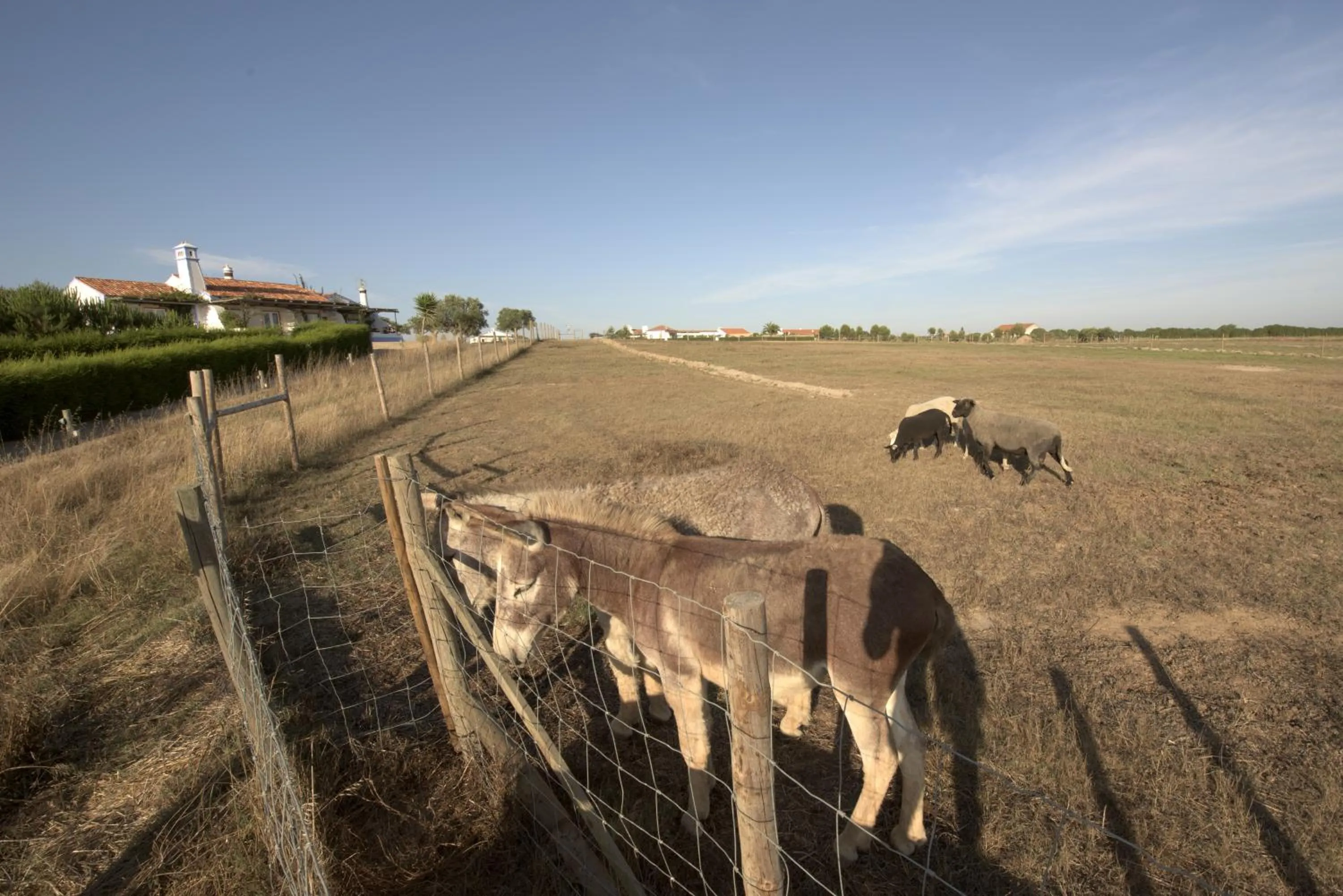 Other in Herdade Do Touril