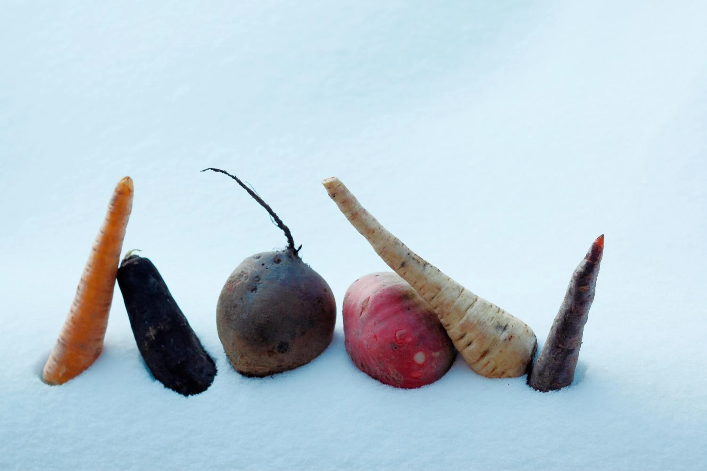 Decorative detail in Hôtel La Ferme du Chozal, Chalet de tradition