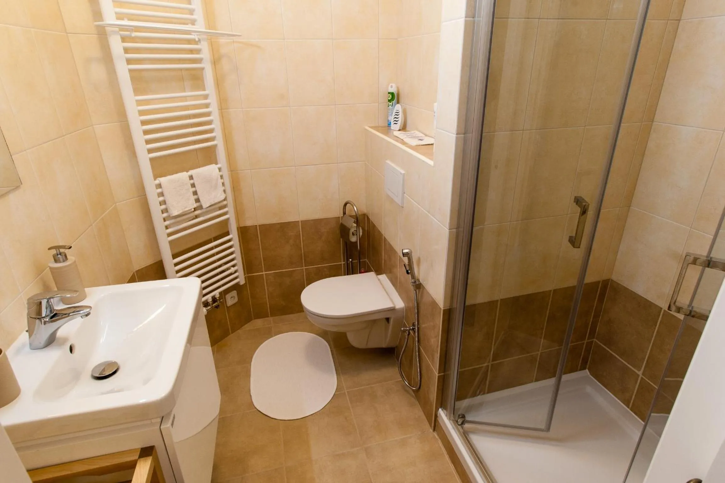 Shower in Karlova 25 Apartments