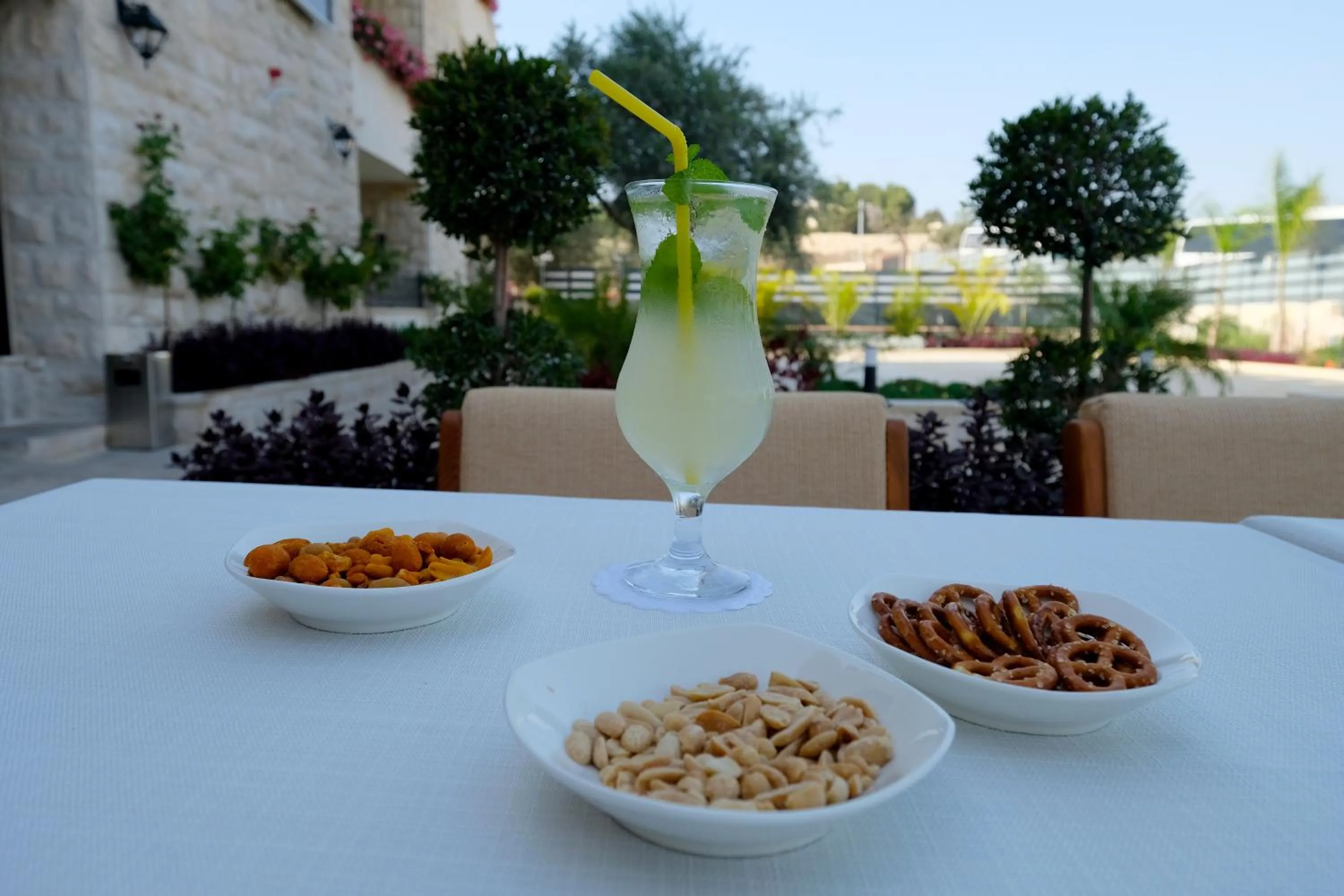 Garden in Tantur Hills Hotel - Jerusalem