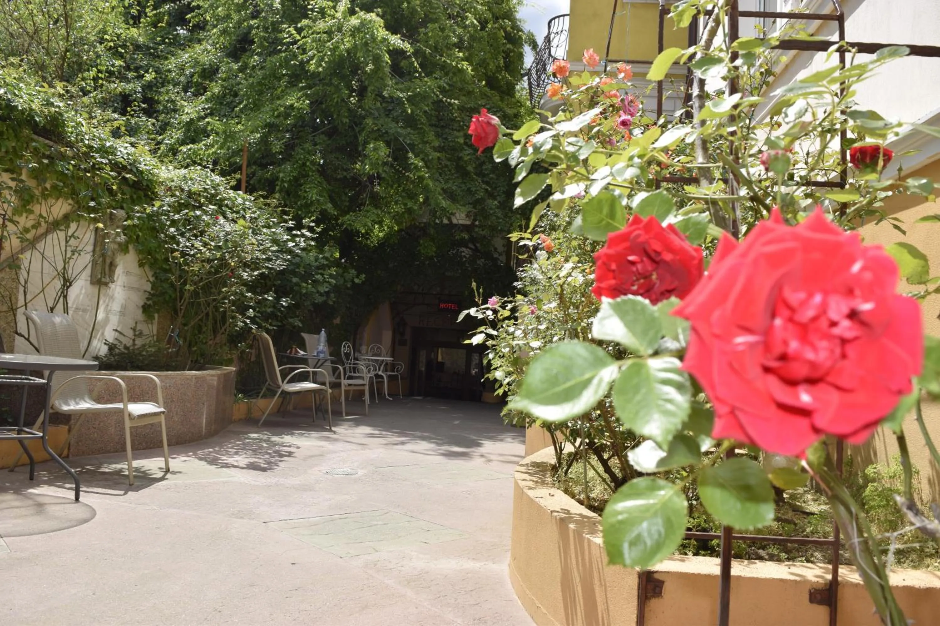 Garden view in Hotel Michelangelo