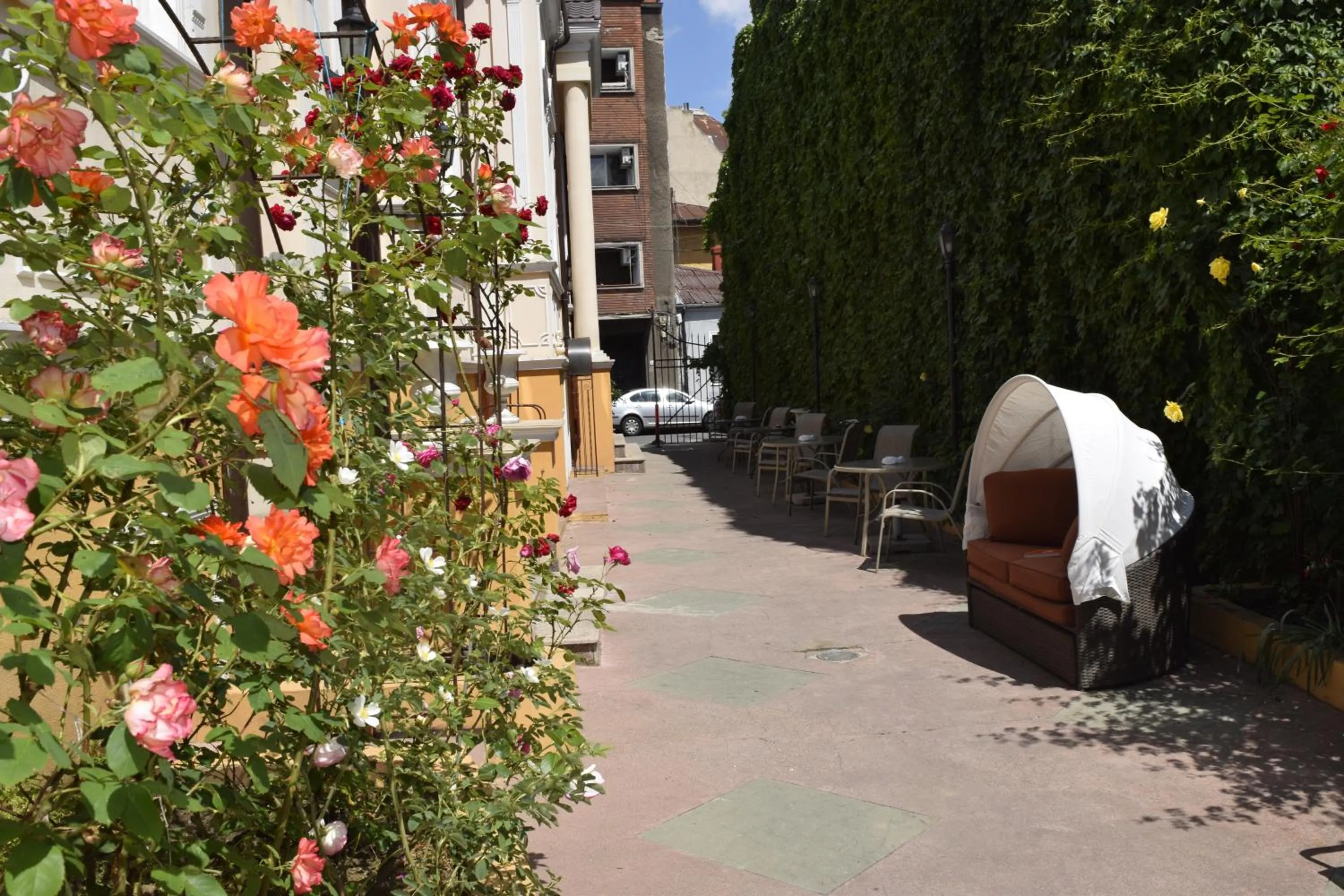 Garden view in Hotel Michelangelo