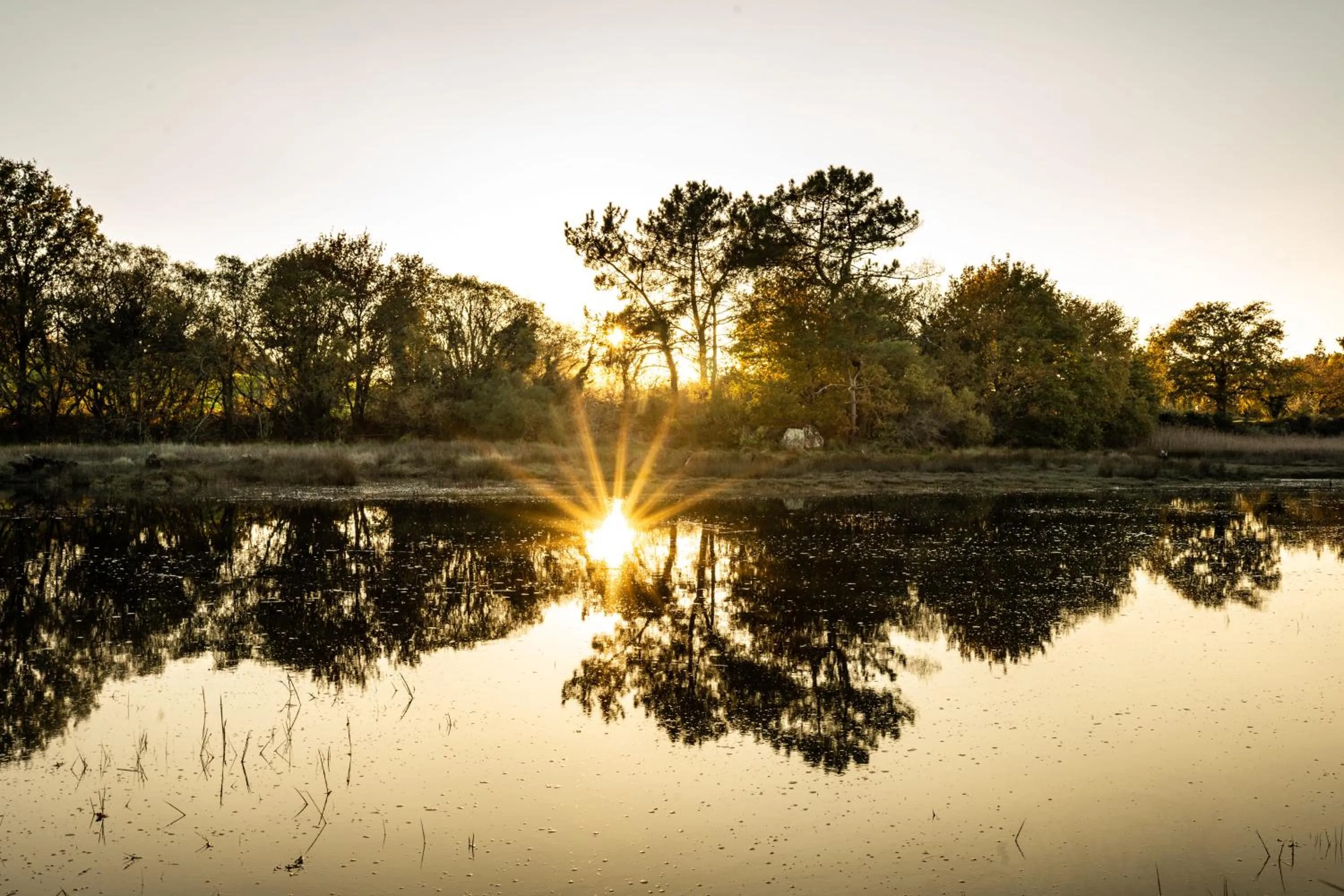 Natural landscape in La Maison OBONO Hôtel & Spa