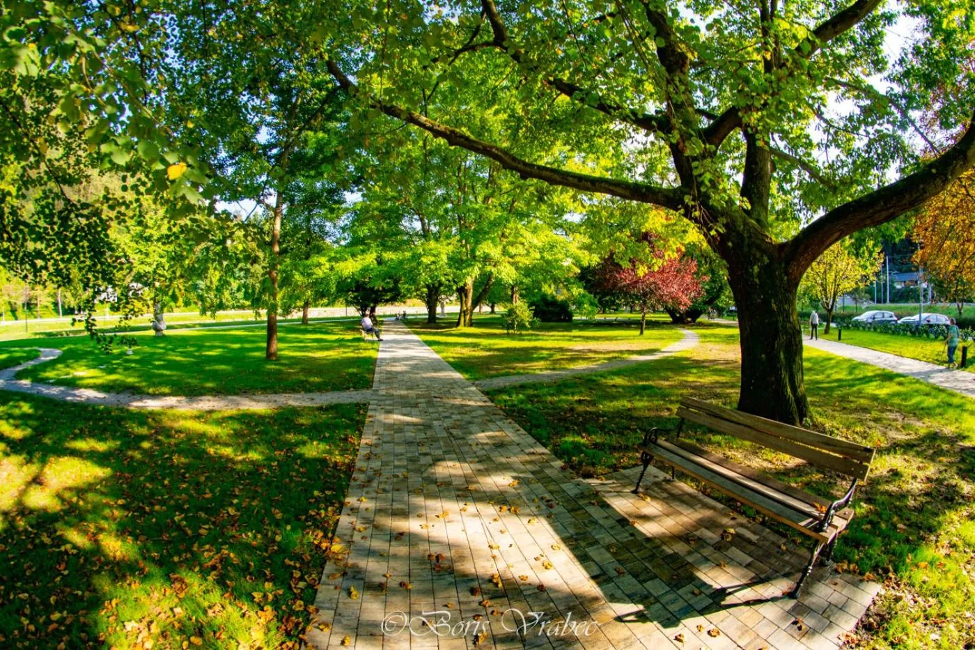 Natural landscape in Hotel Zdravilisce - Thermana Lasko