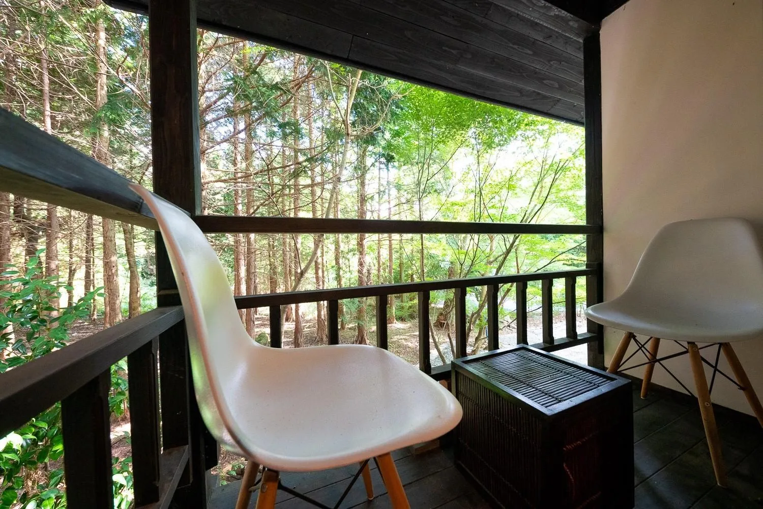 Day in Taisho Yufu no Hana