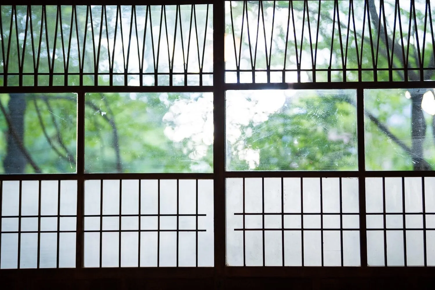 Day in Taisho Yufu no Hana