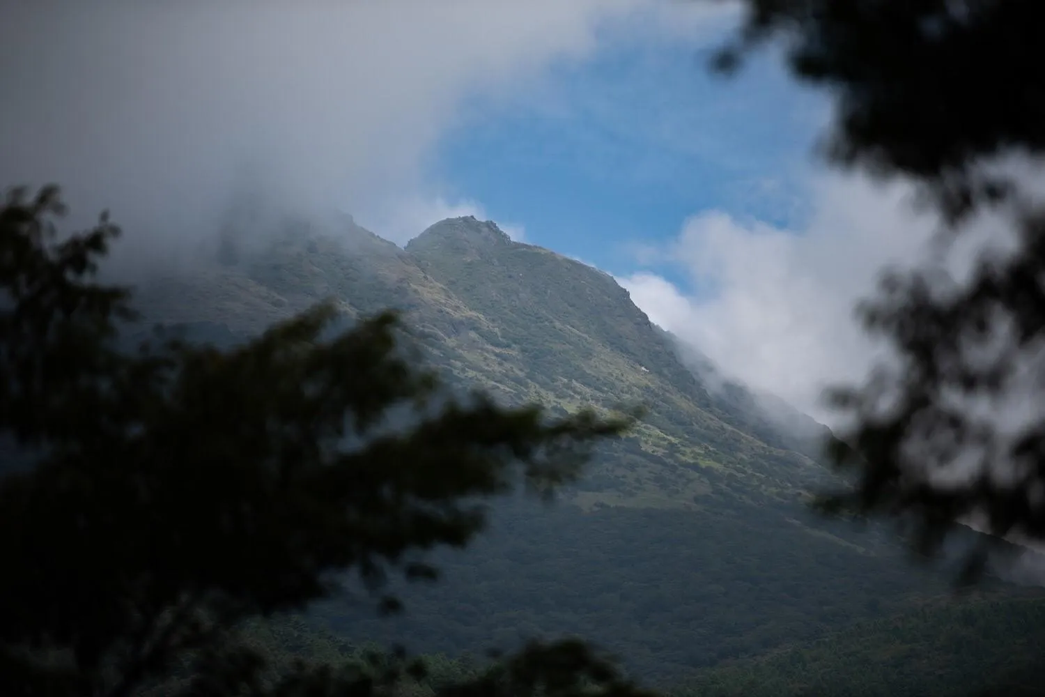 Day in Taisho Yufu no Hana