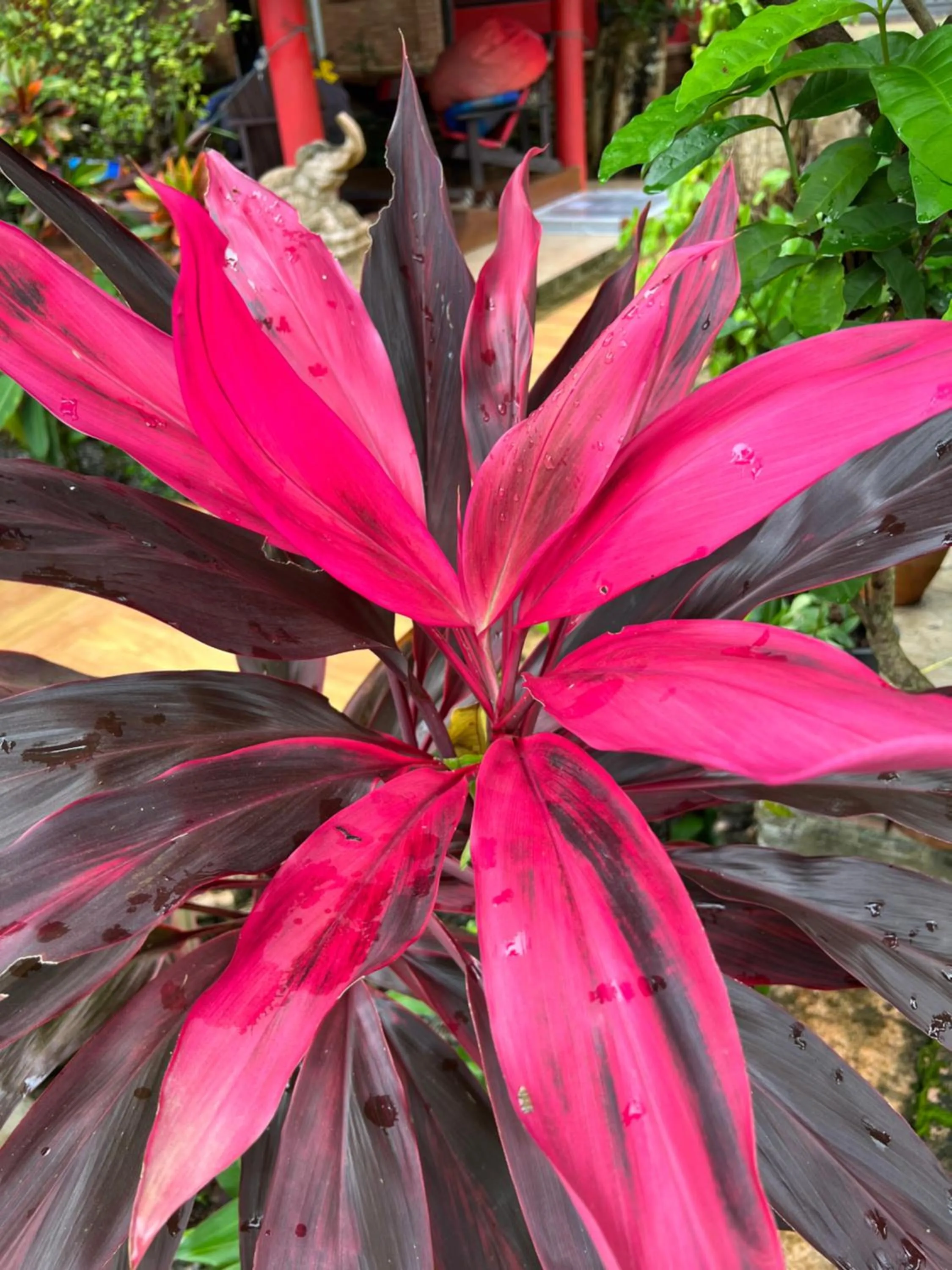 Day in Baan Ton Rak Boutique Resort