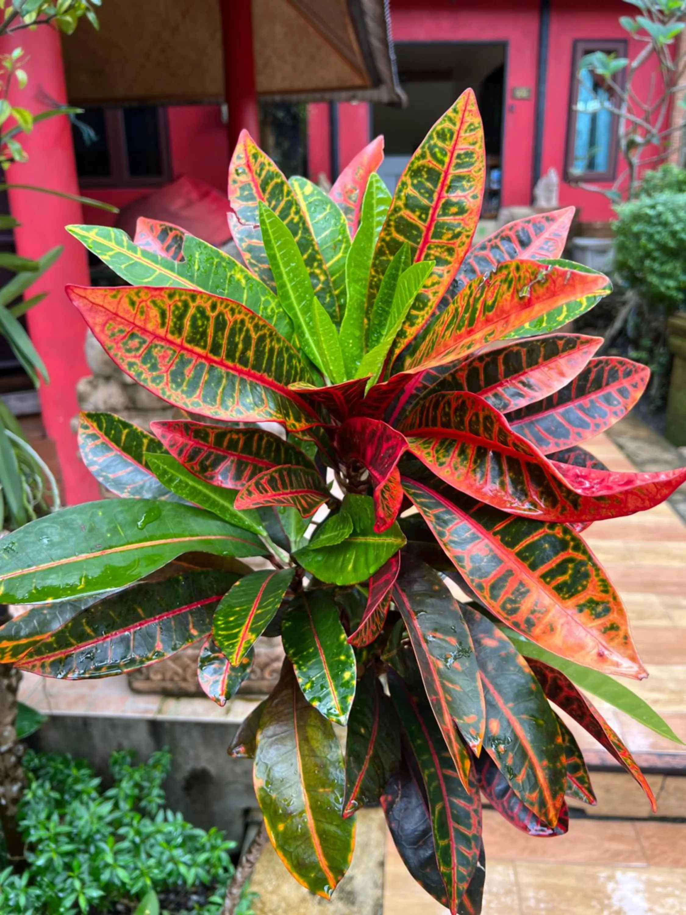 Day in Baan Ton Rak Boutique Resort