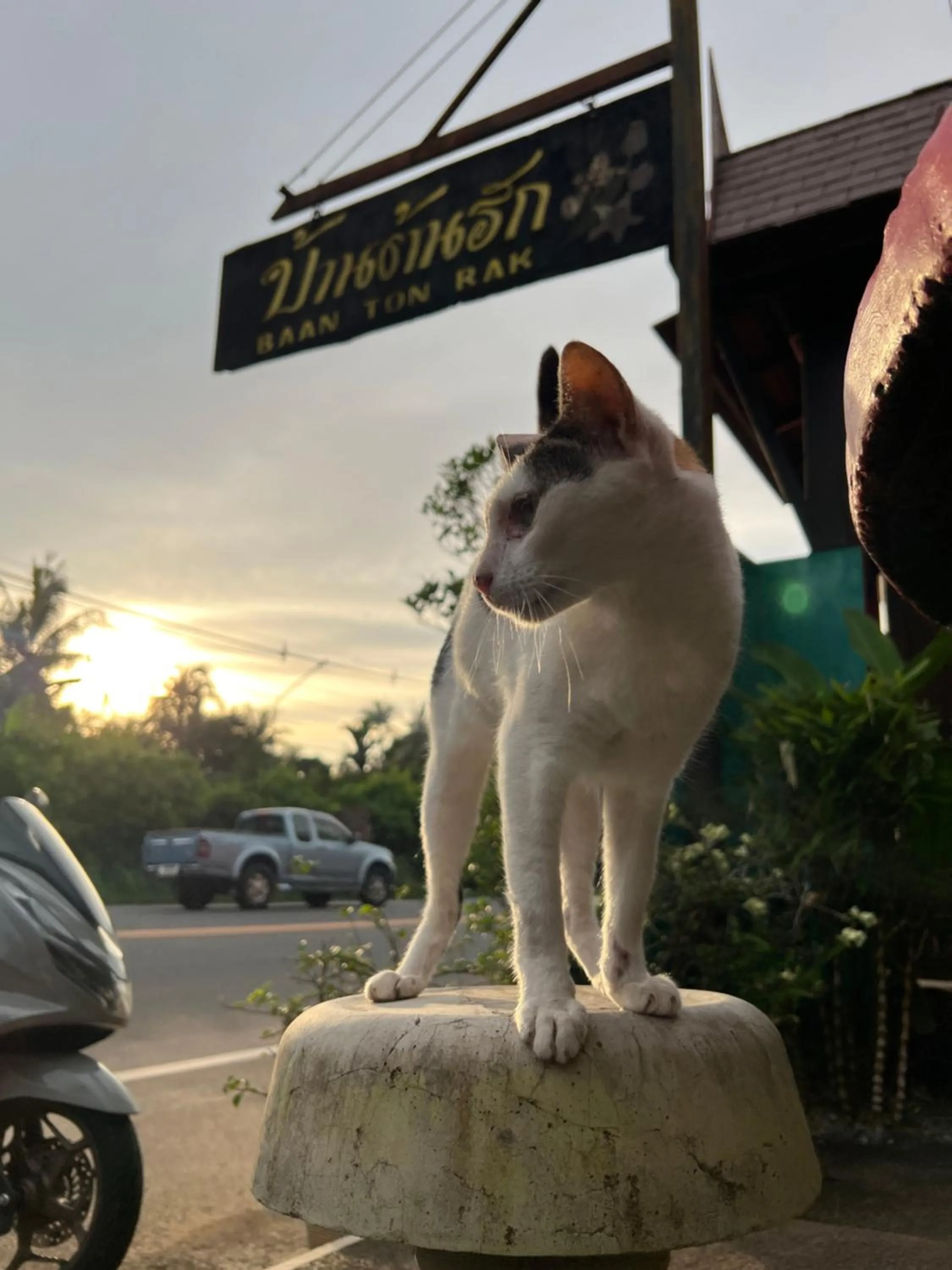 Day in Baan Ton Rak Boutique Resort