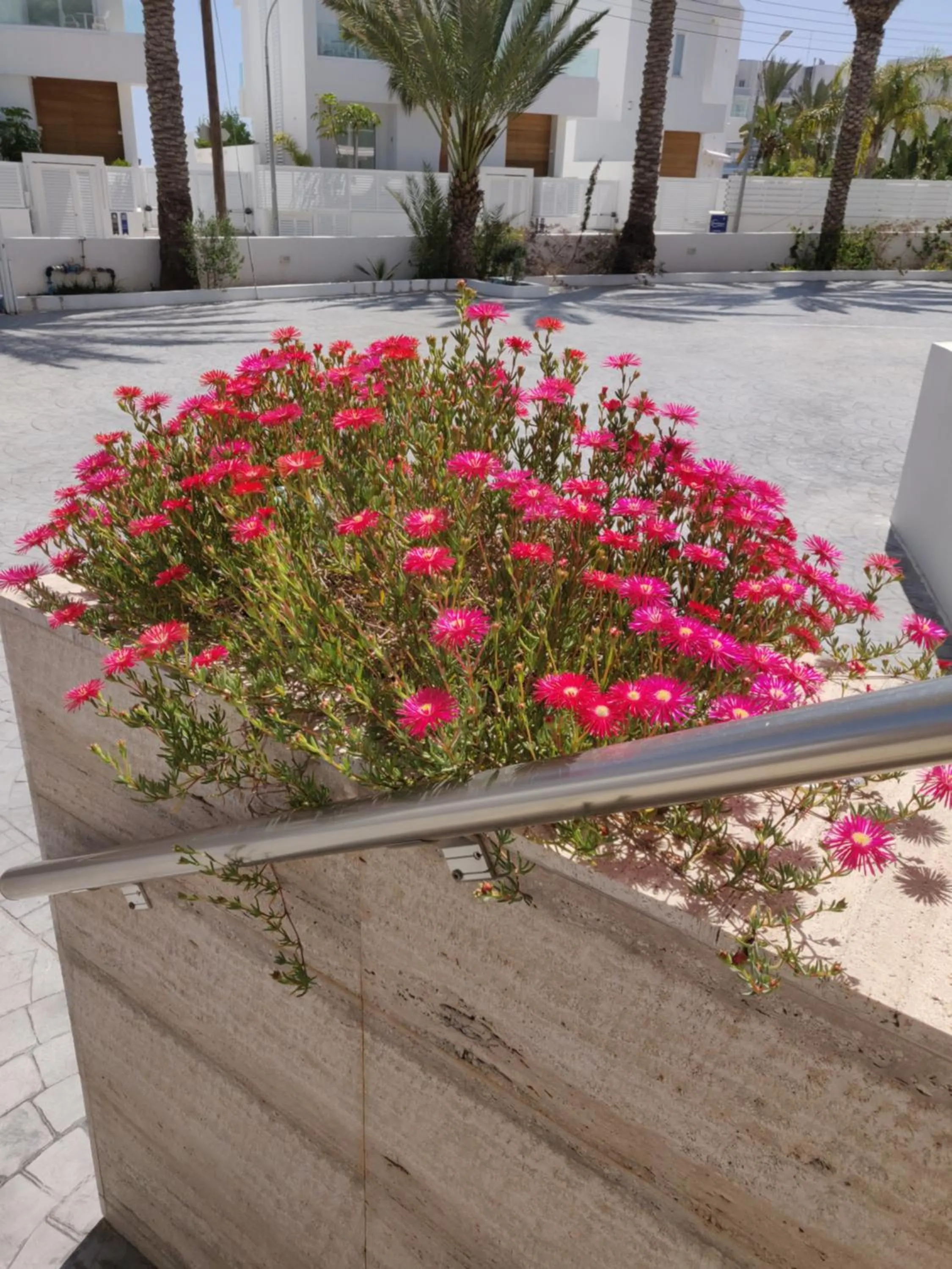 Garden in Captain Pier Hotel