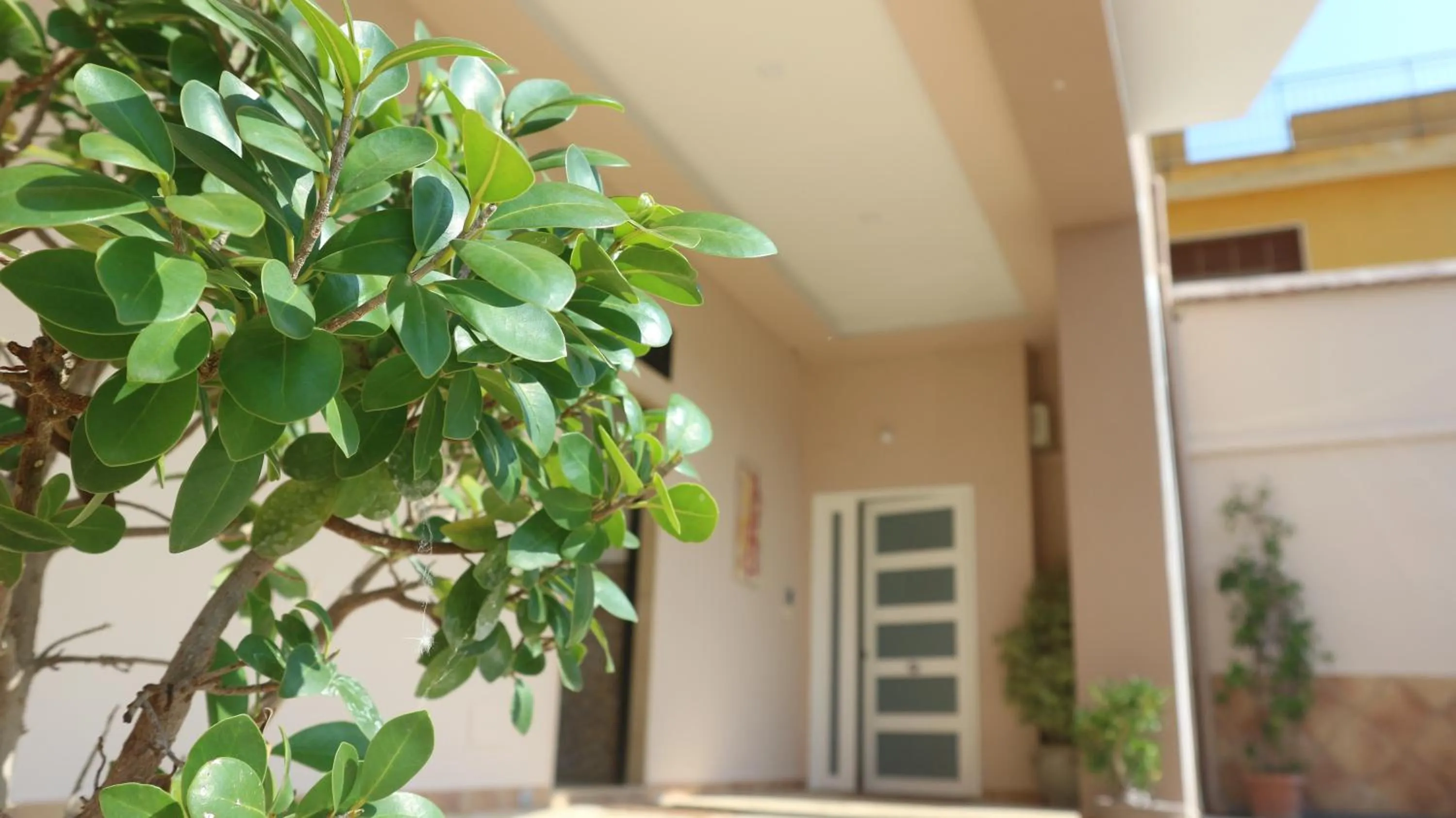 Property building in Villa Bema