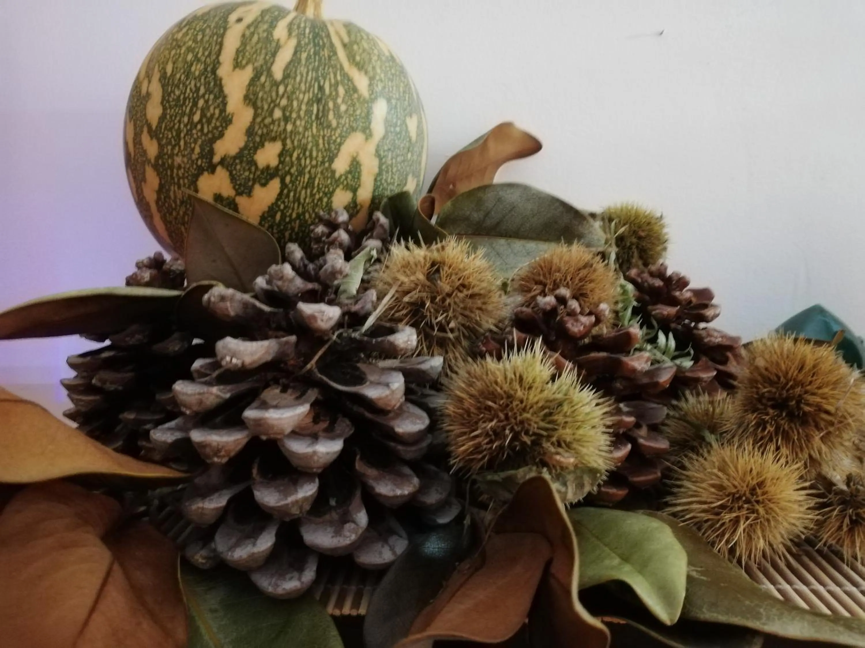 Lobby or reception in Villa Bema