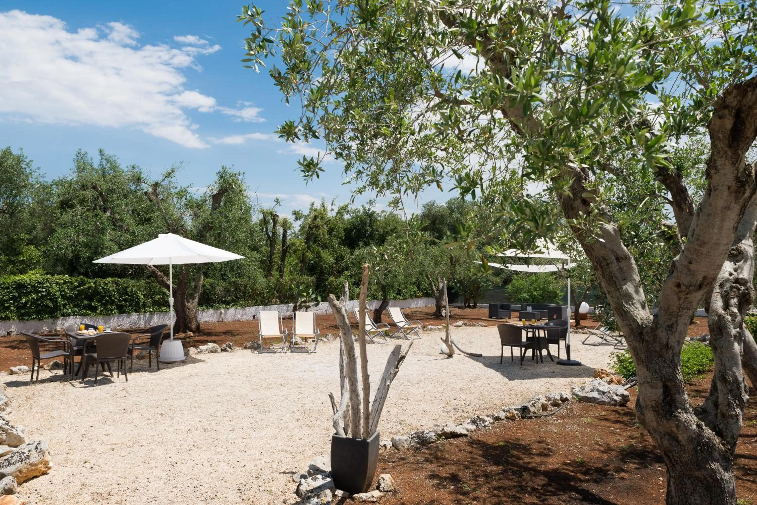 Beach in Piccolo Hotel Villa Rosa