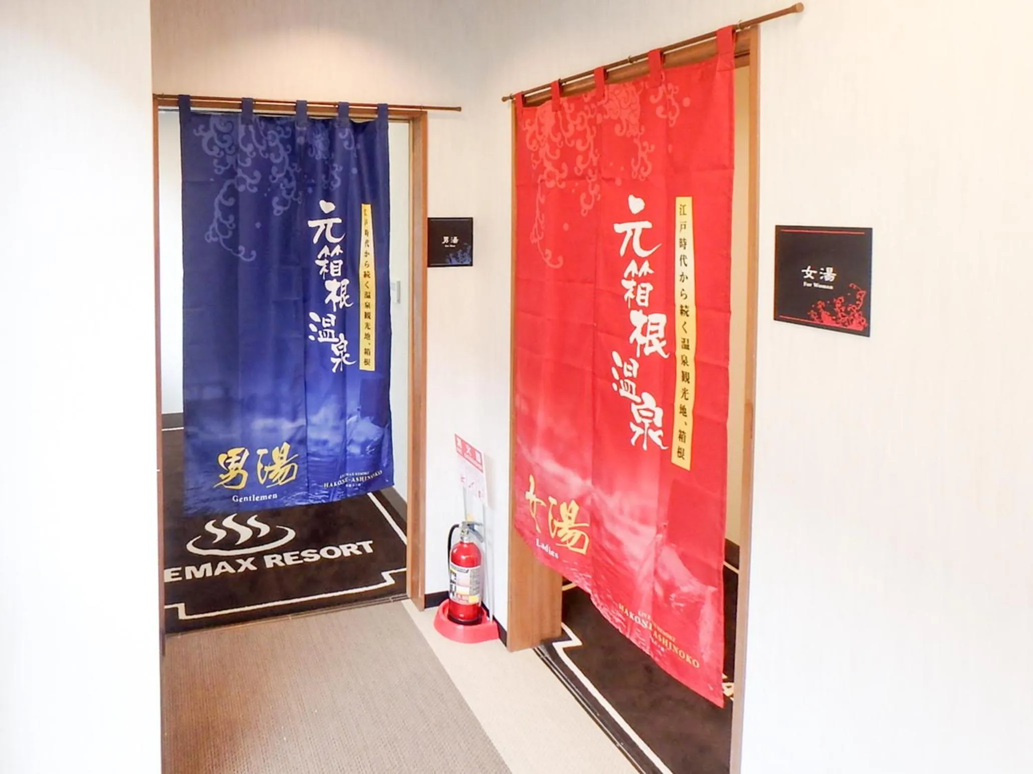 Hot Spring Bath in LiVEMAX RESORT Hakone Ashinoko