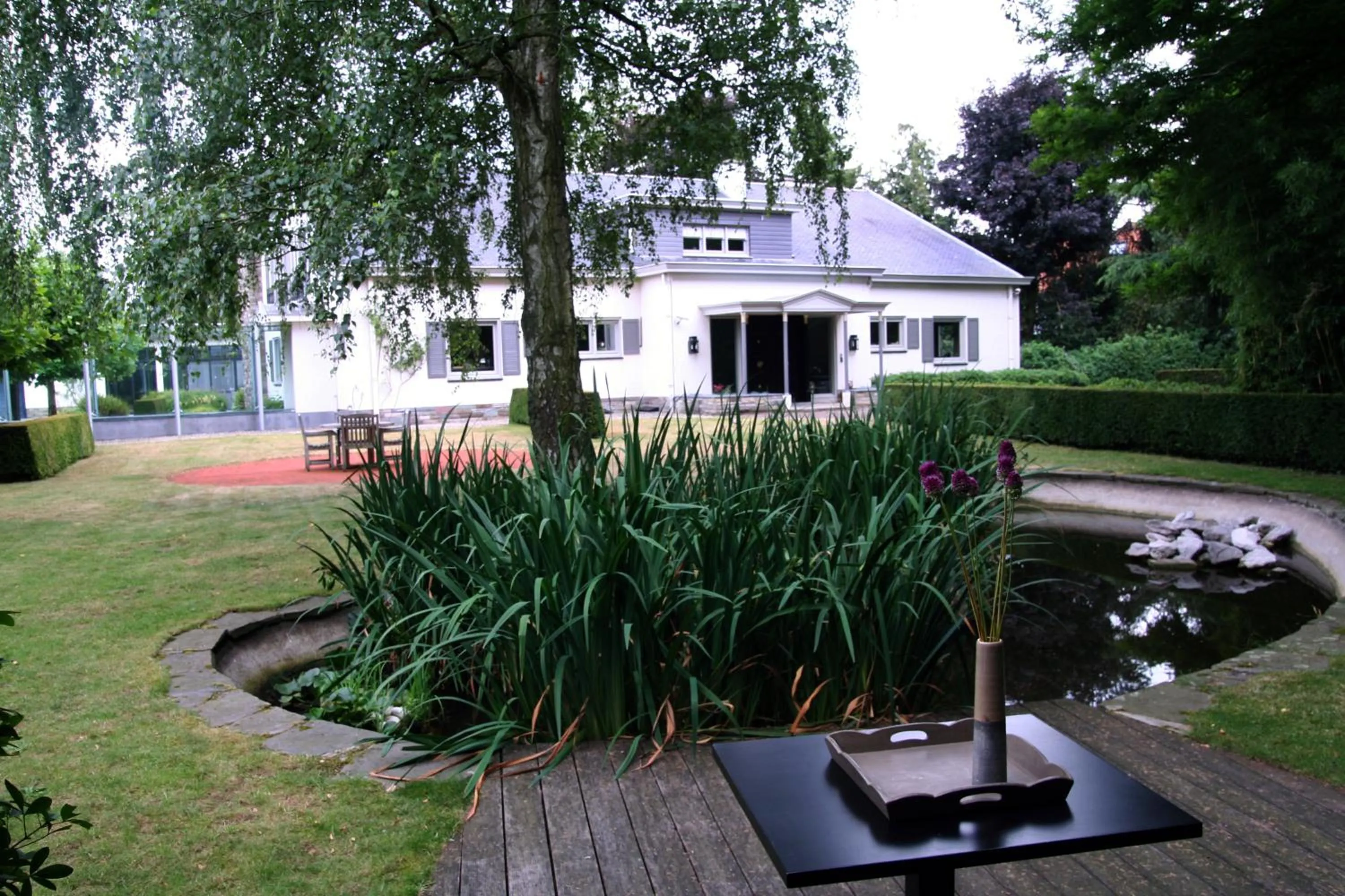 Garden in Villa Pura Vida