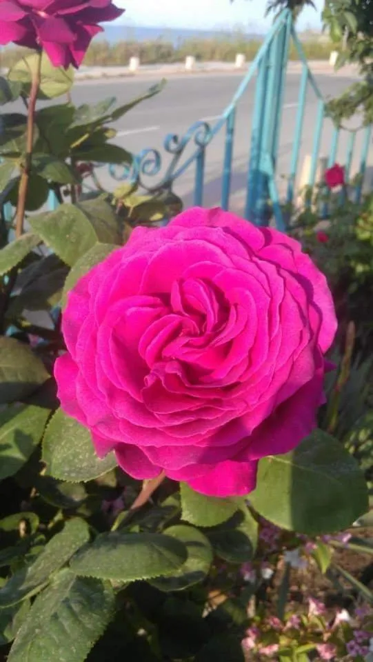 Property building in Hotel Lozite