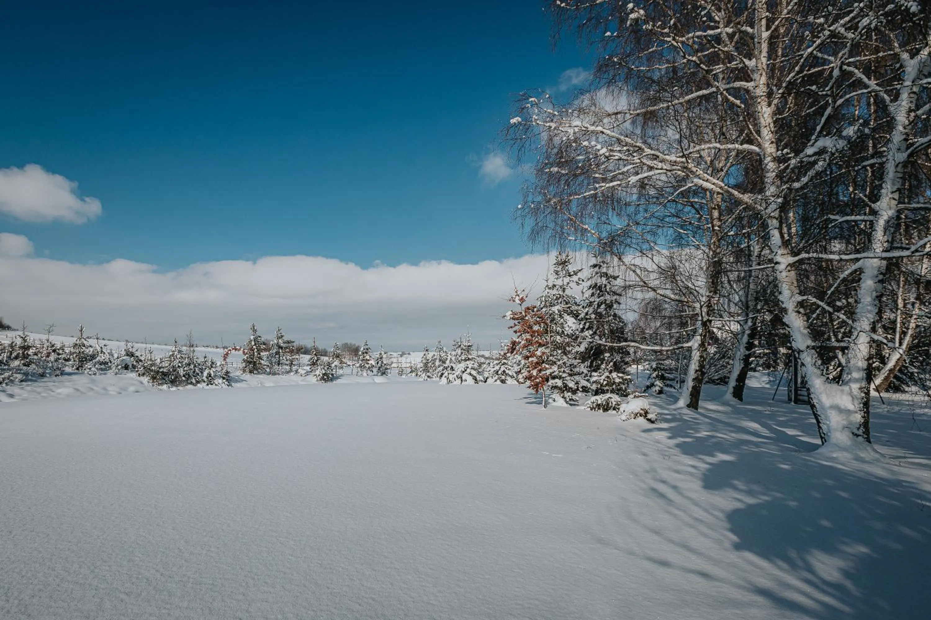 Natural landscape in Oravský Háj Garden Hotel & Resort