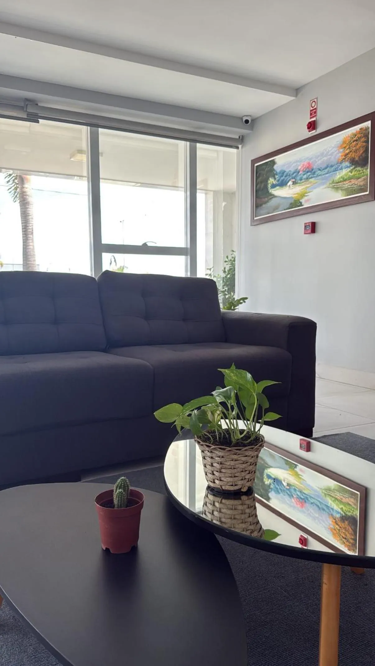 Hotel Oásis de Patos