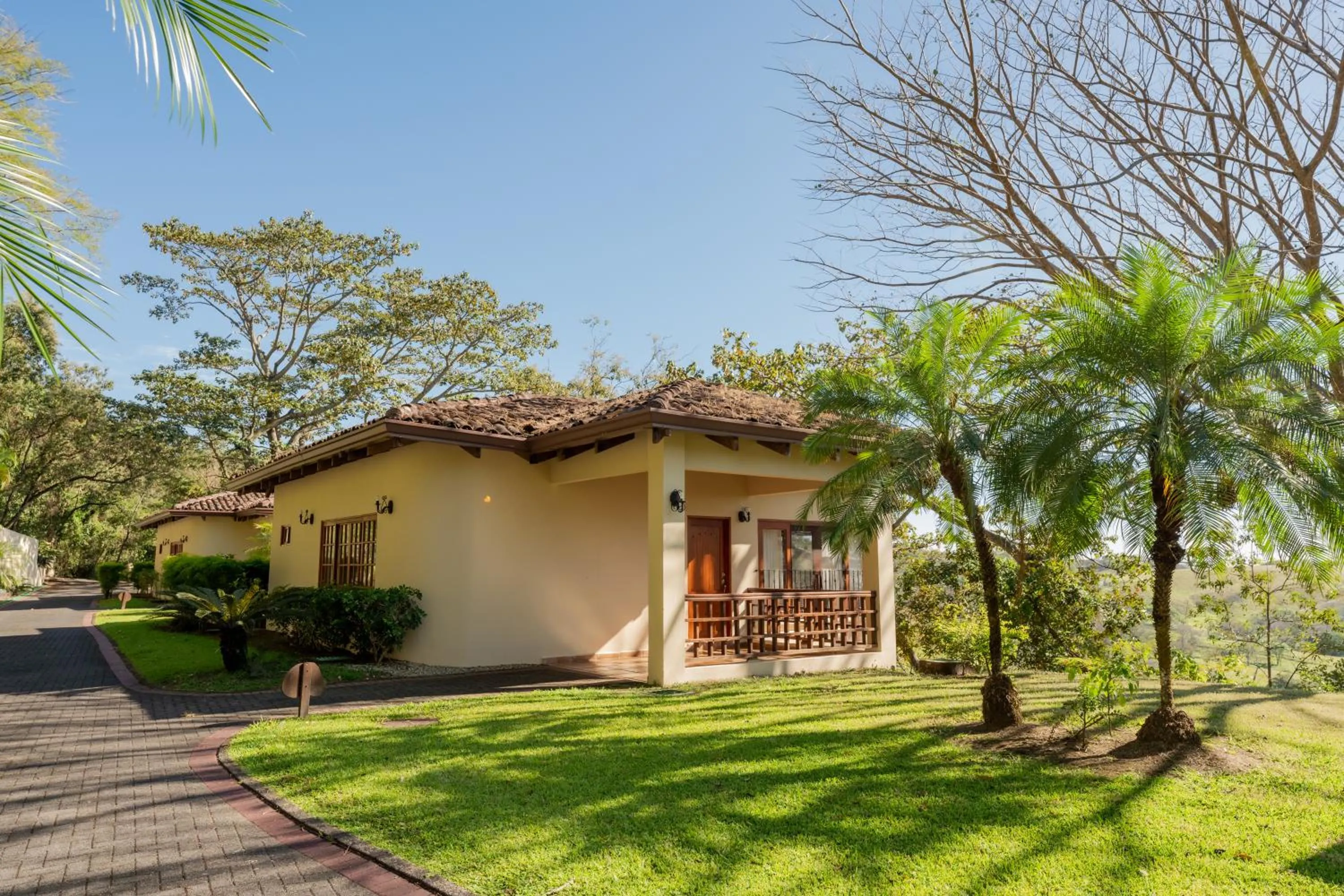 Garden view in Borinquen Thermal Resort