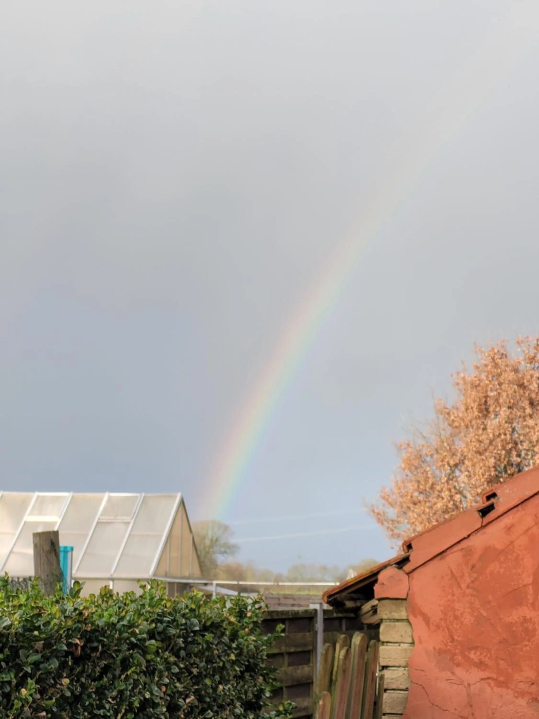 View (from property/room) in Hotel Garni Kastanjehoff