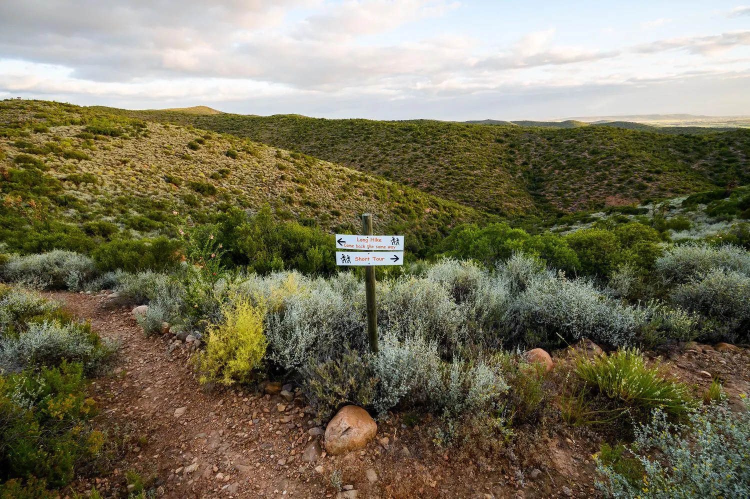 Hiking in Le Petit Karoo