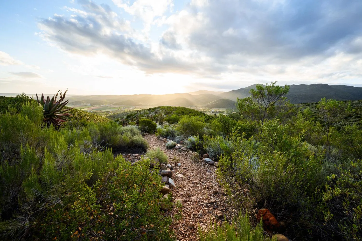 Hiking in Le Petit Karoo