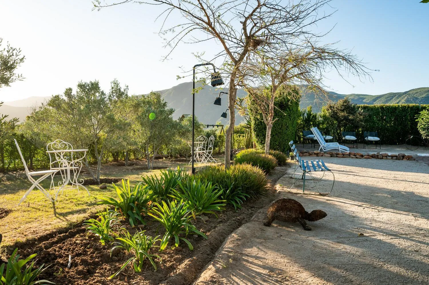 Garden in Le Petit Karoo