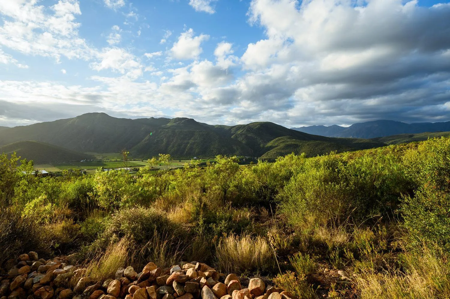 View (from property/room) in Le Petit Karoo