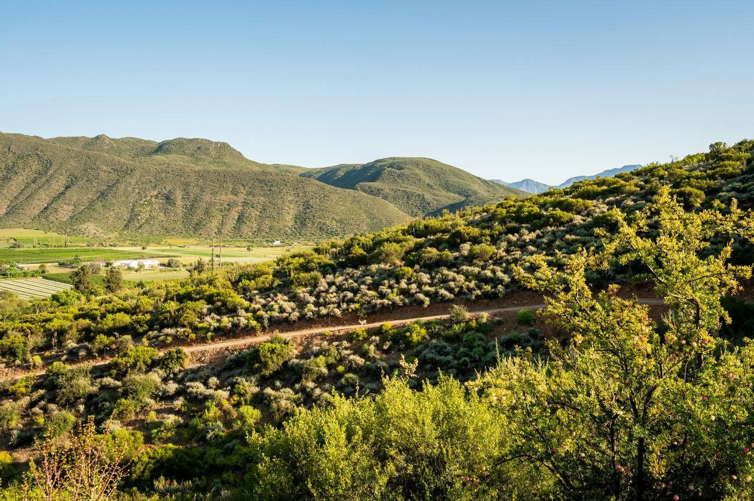 View (from property/room) in Le Petit Karoo