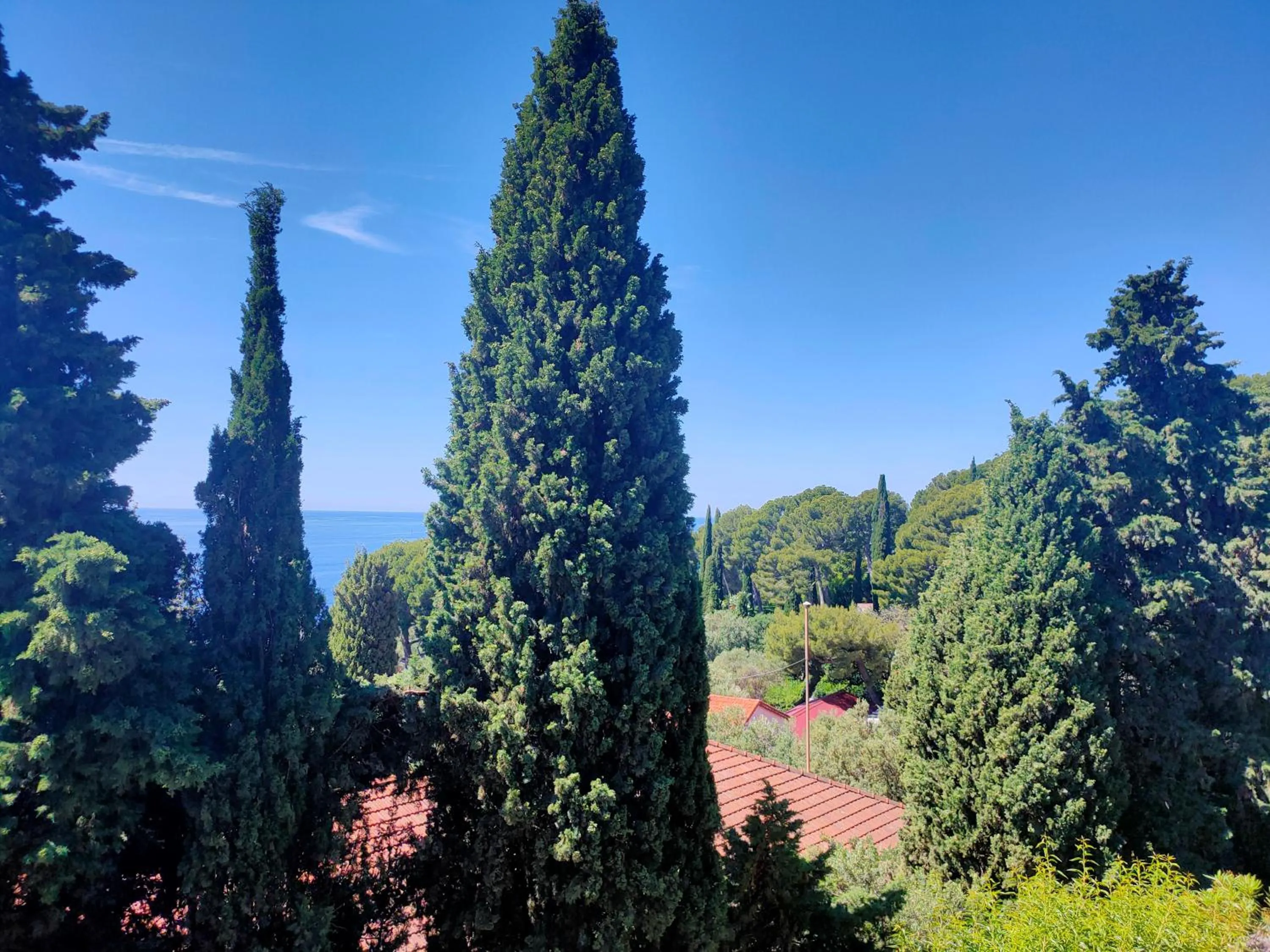 Garden view in Villa Azur Cap d'Ail