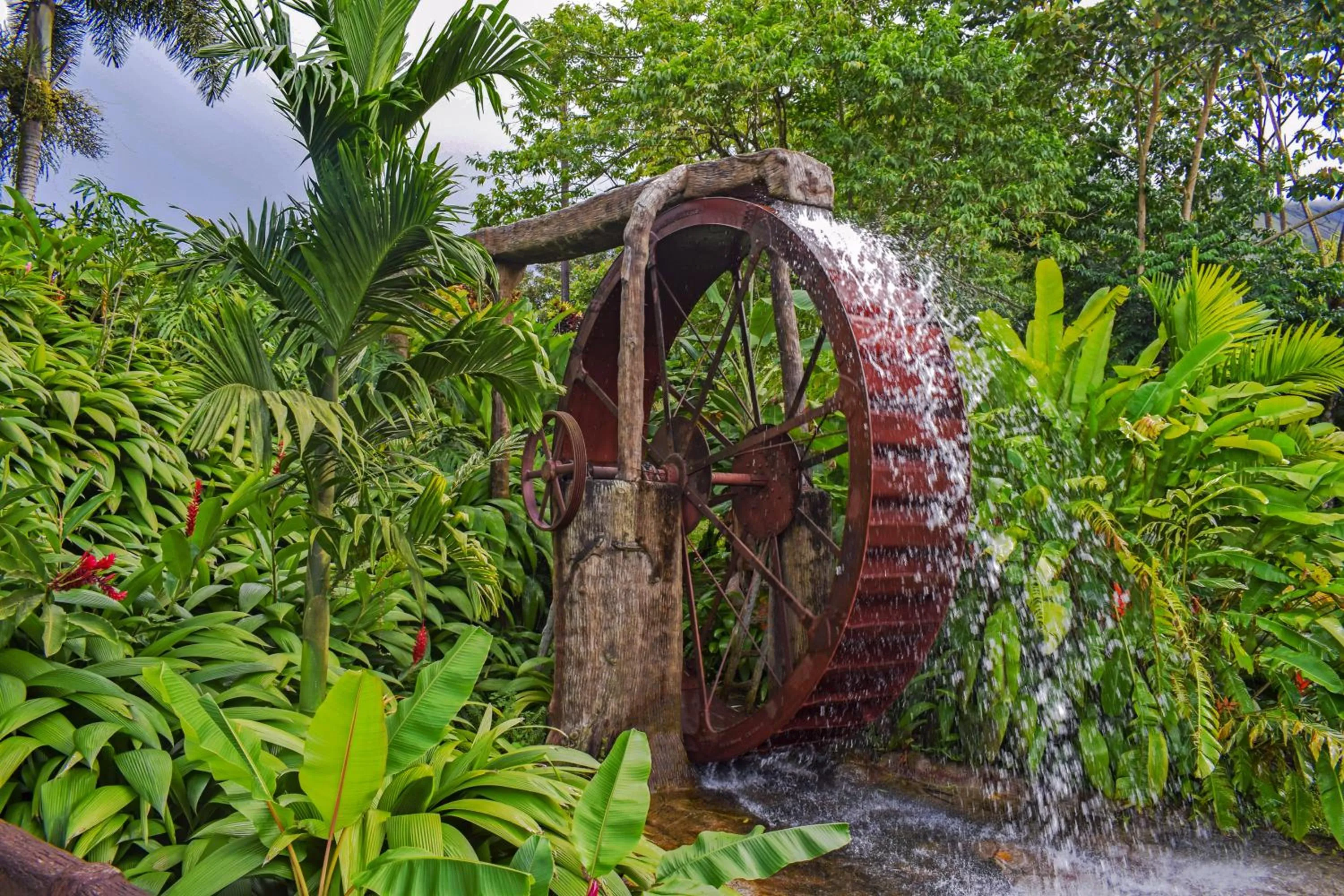 Garden in Hotel Los Lagos Spa & Resort