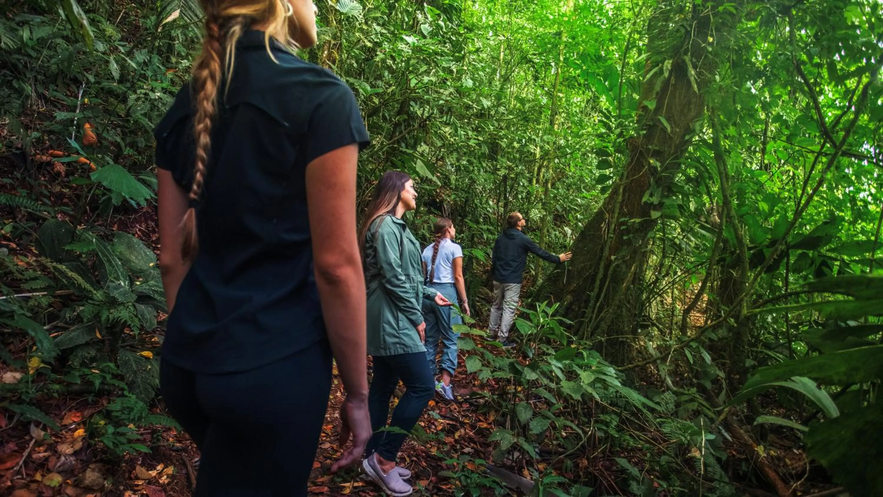 Natural landscape in Hotel Los Lagos Spa & Resort
