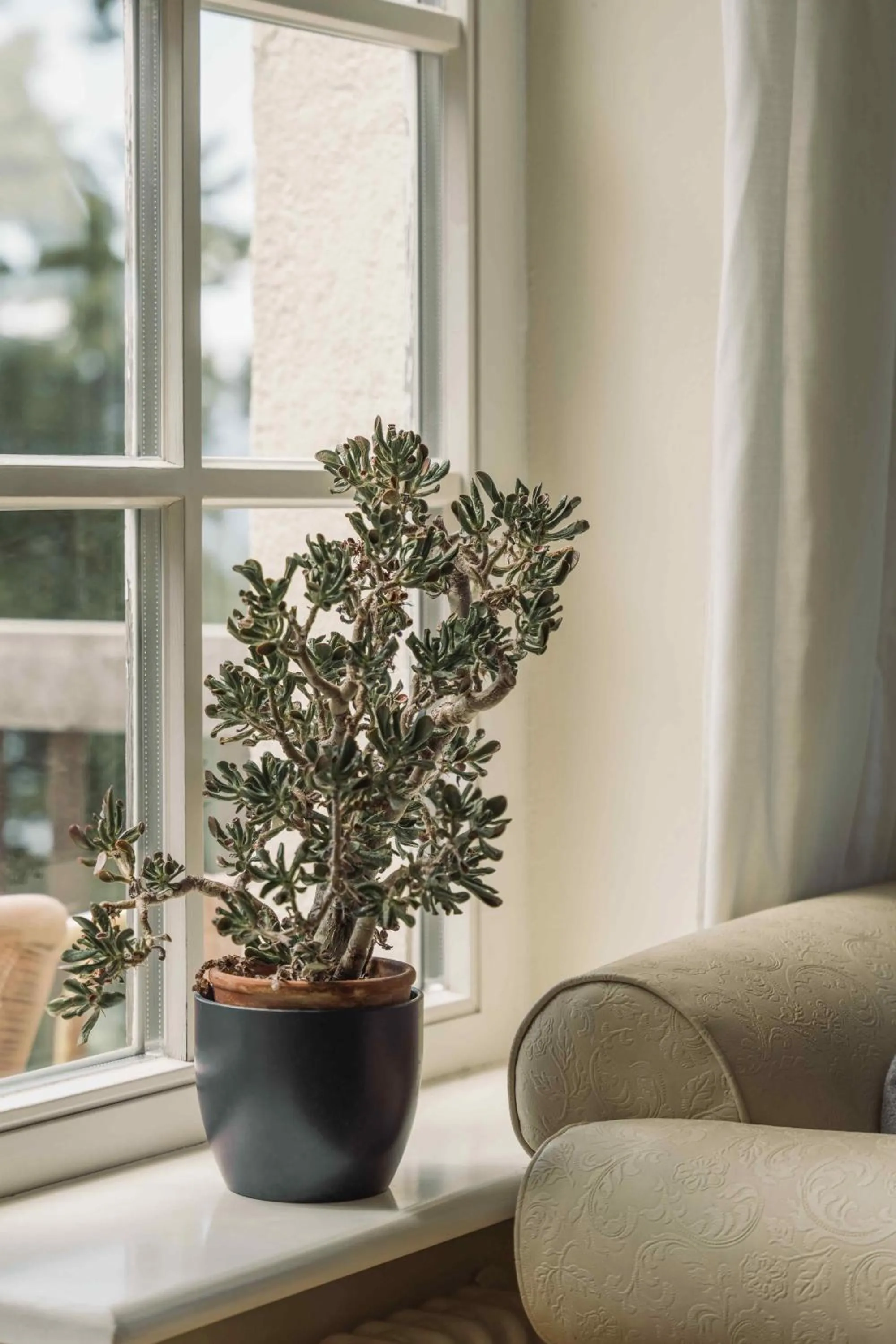 Communal lounge/ TV room in Gasthof Kohlern 1130 m