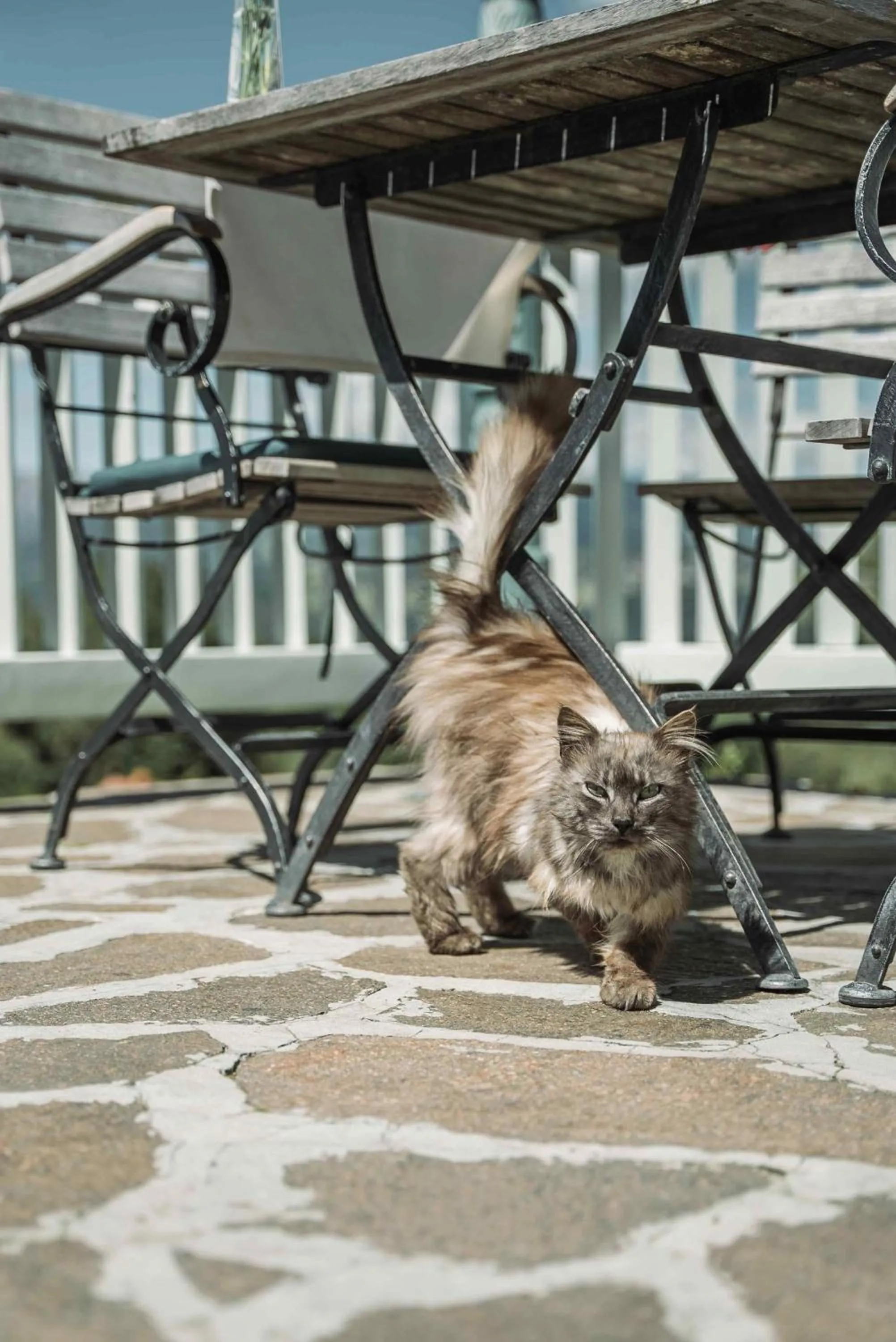 Property building in Gasthof Kohlern 1130 m