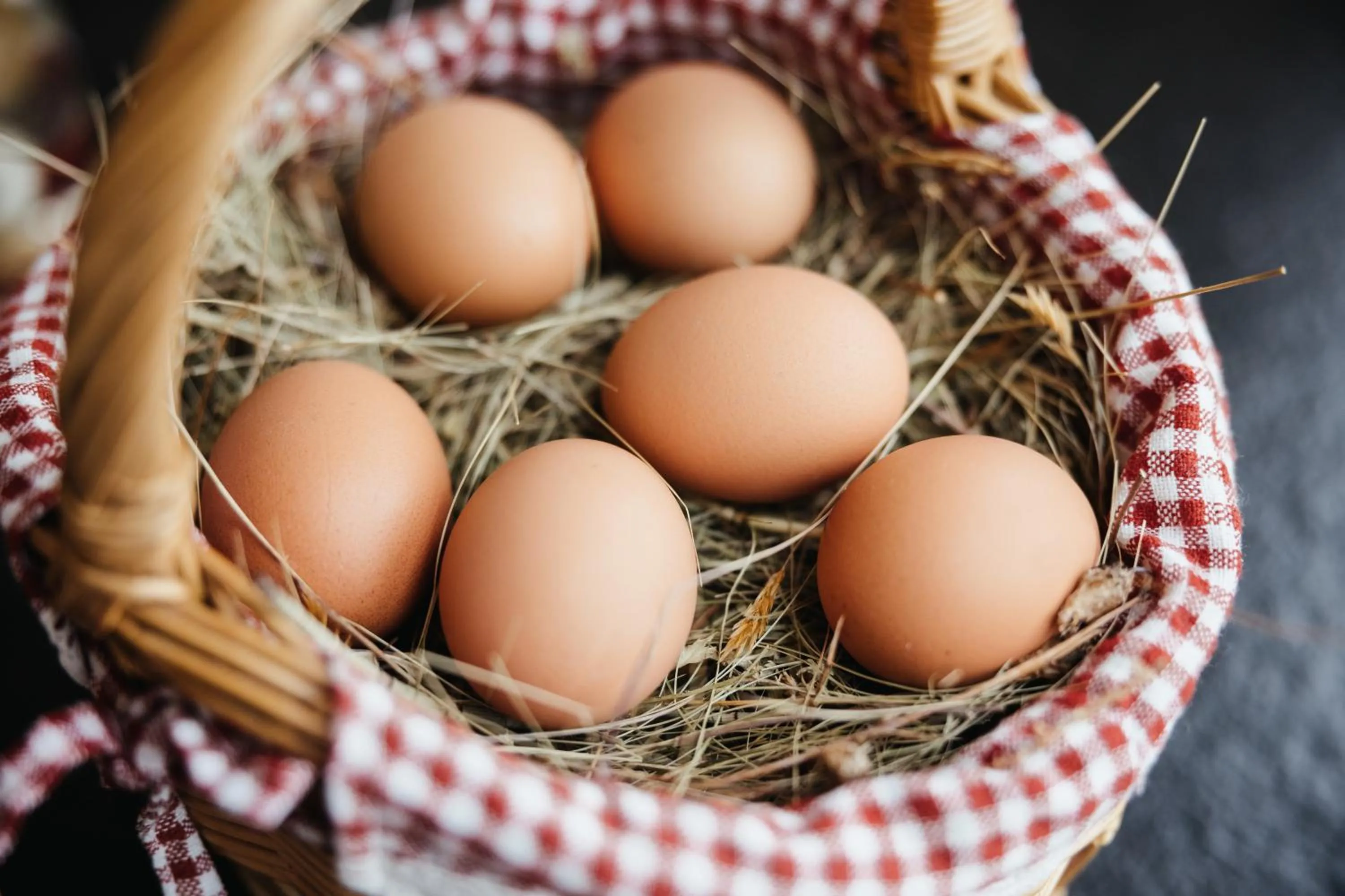 Breakfast in Garni Ciasa Urban