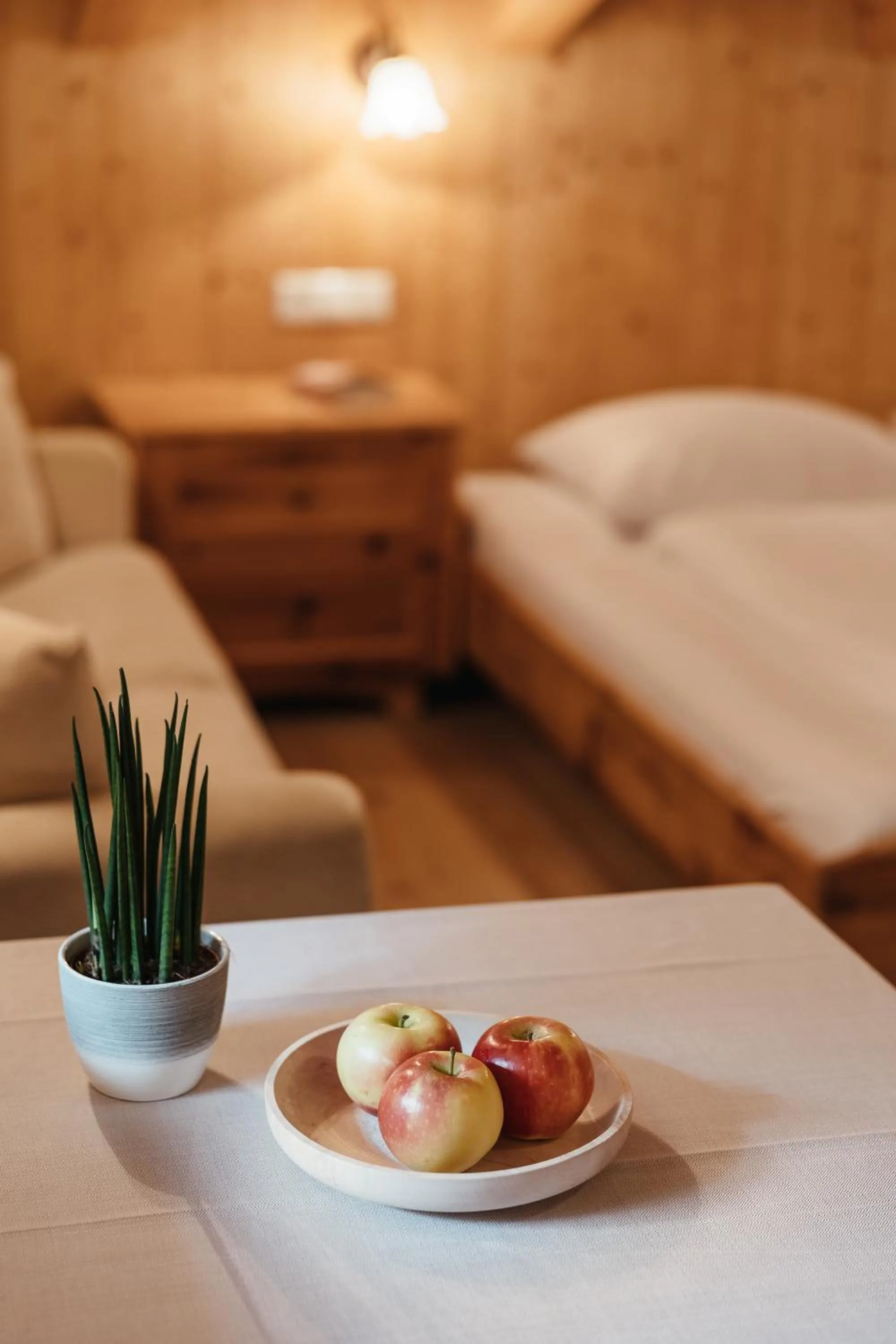 Area and facilities, Bed in Garni Ciasa Urban