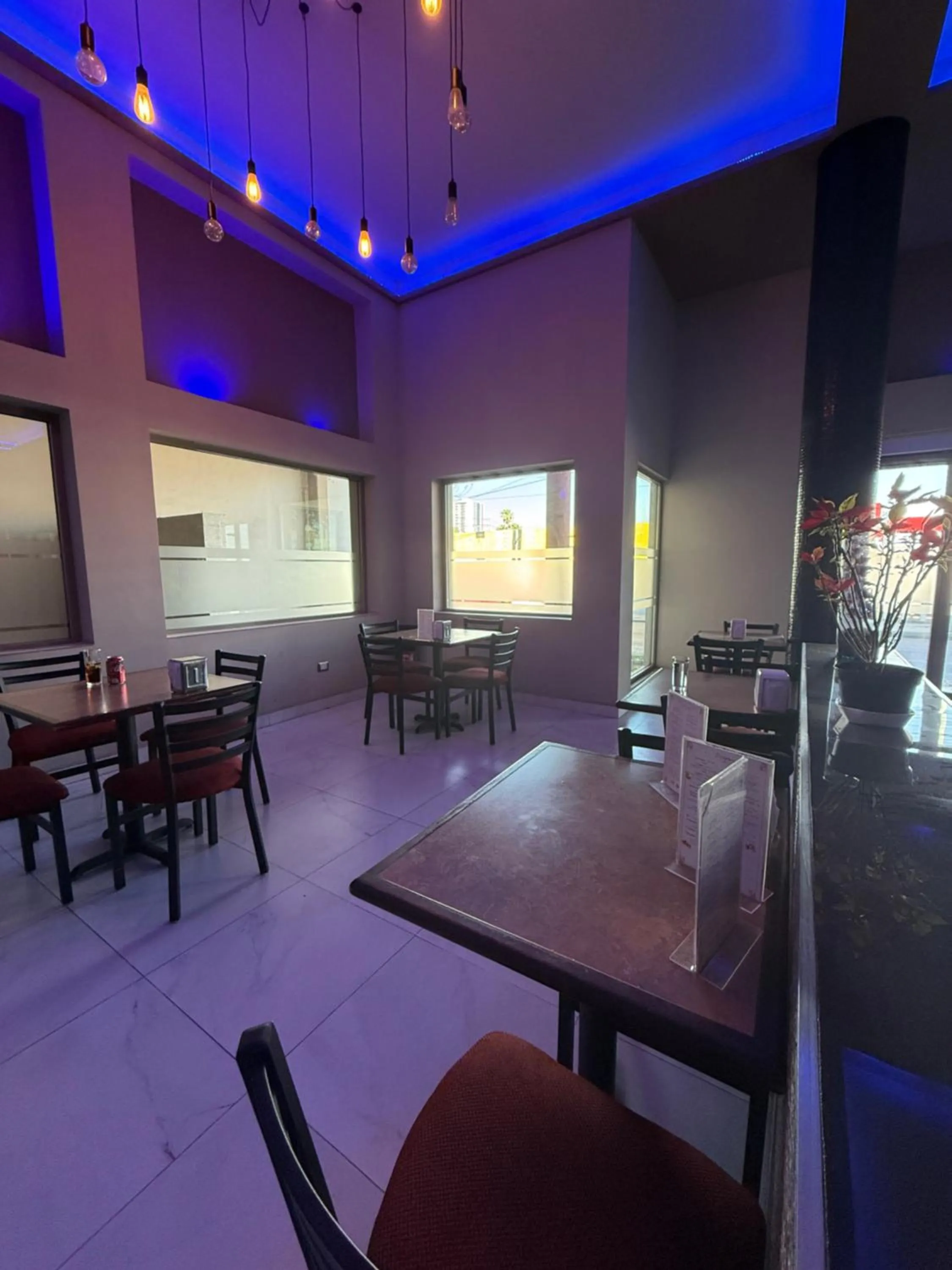 Restaurant/places to eat in Hotel Plaza Arteaga