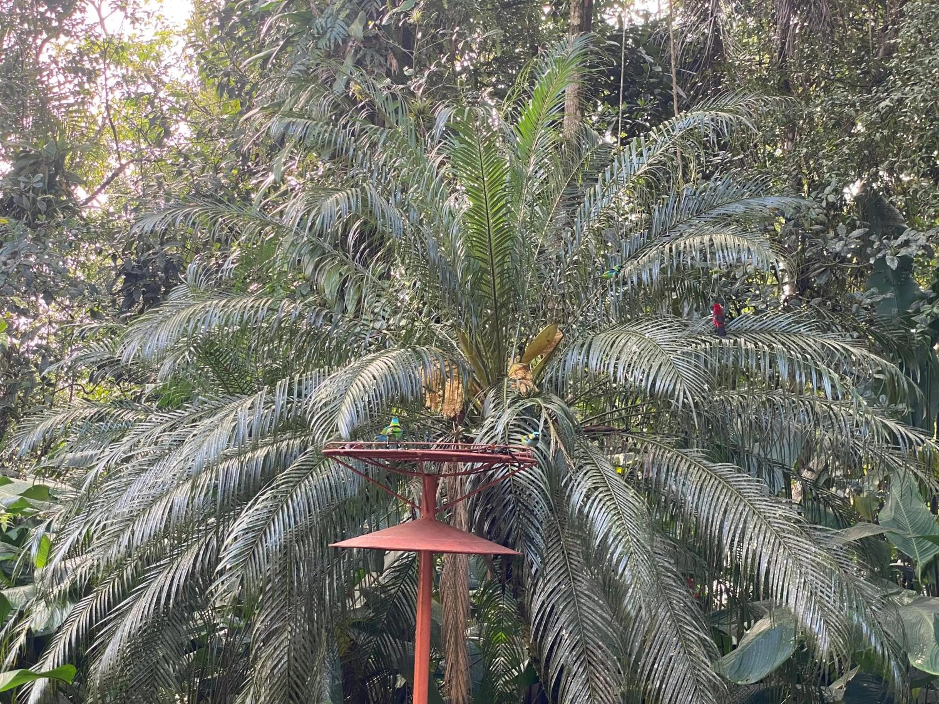 Natural landscape in Flat estudio 110 Amarilis Riviera de São Lourenço, 03 piscina climatizada, serviço de hotelaria, limpesa e troca de toalhas diária, carregador veiculo elétrico e servico de praia finais de semana WiFi 500