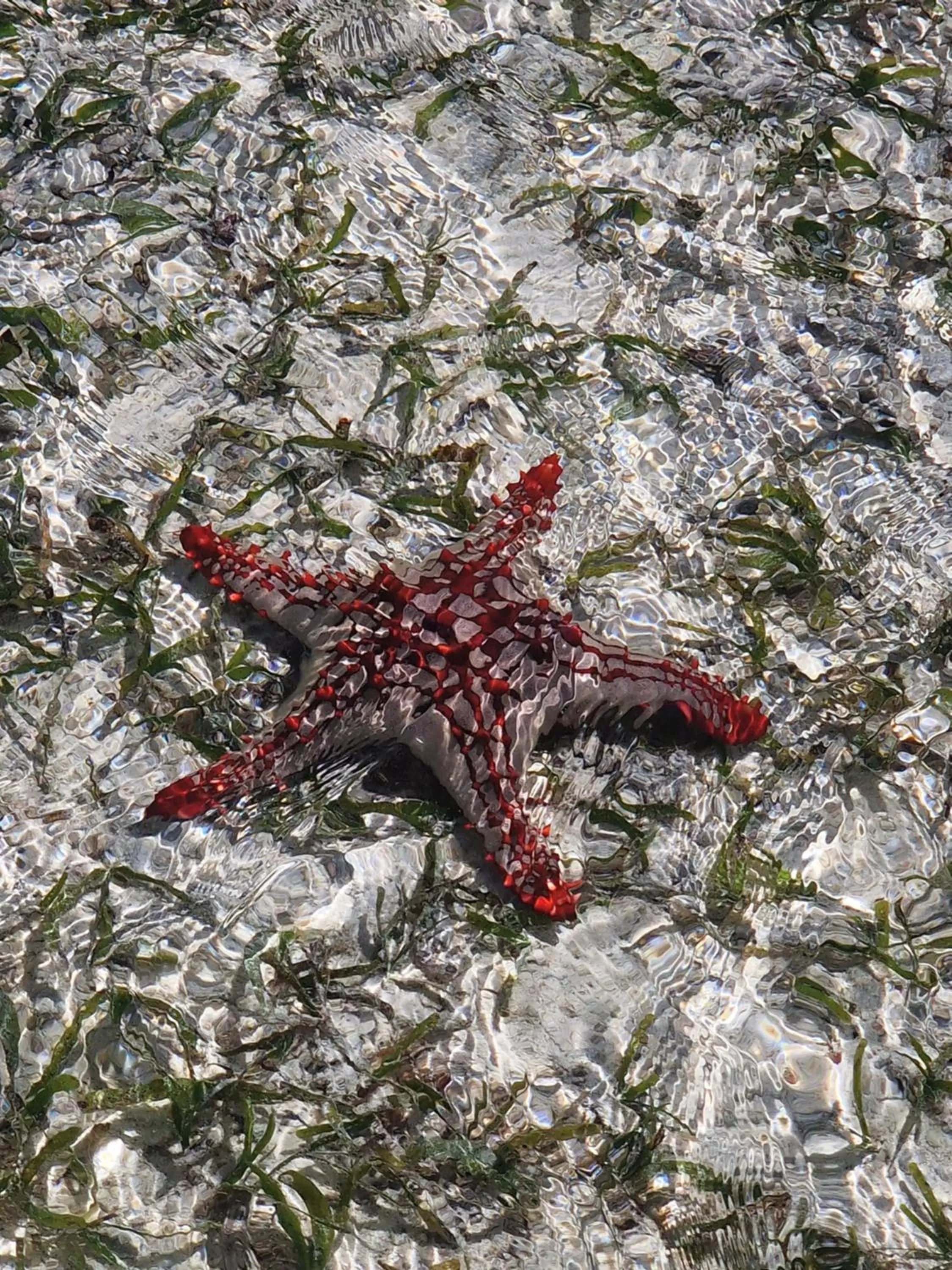 Natural landscape in Dhow Inn Boutique Hotel