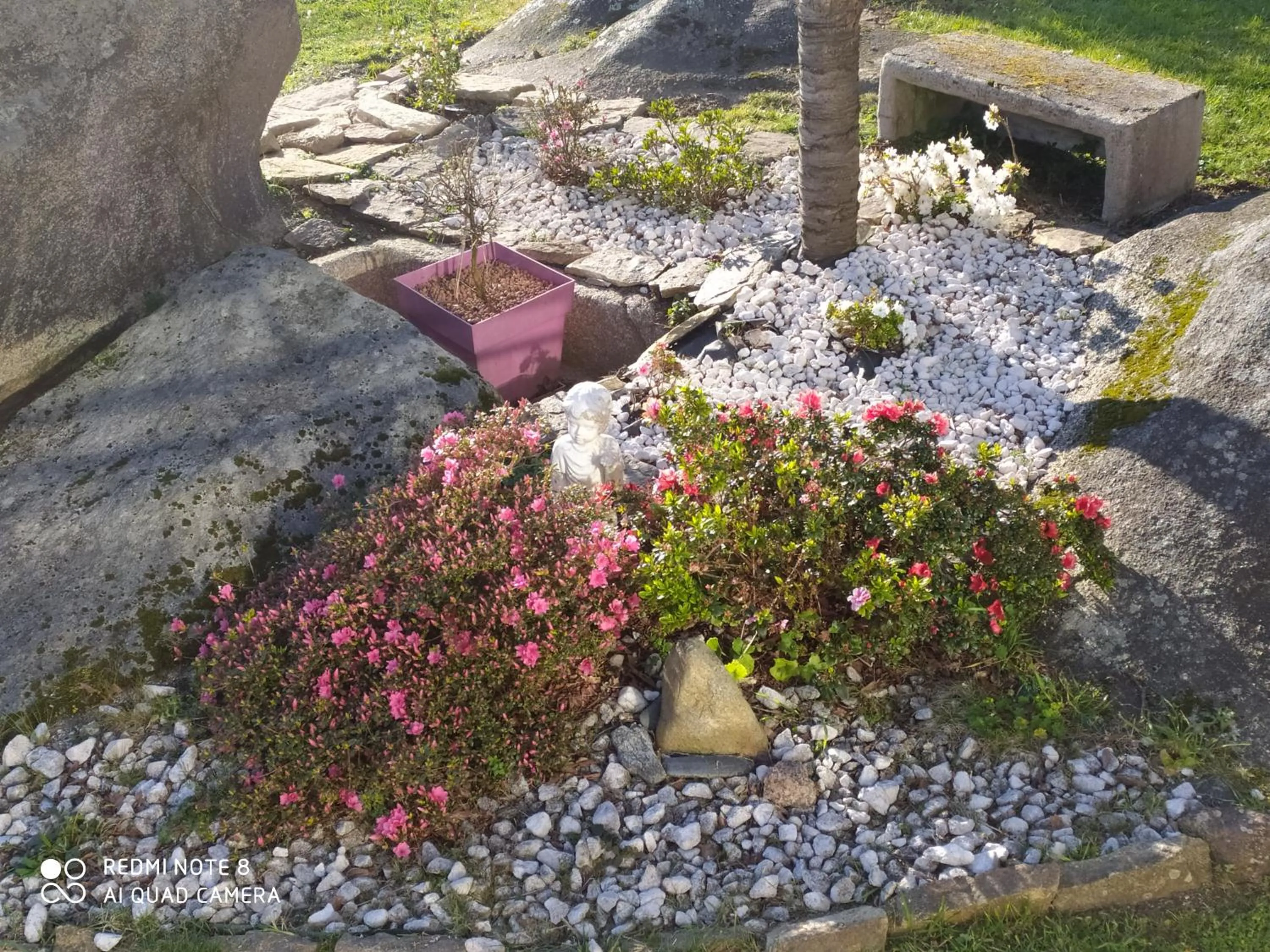 Garden view in Location Keransignour