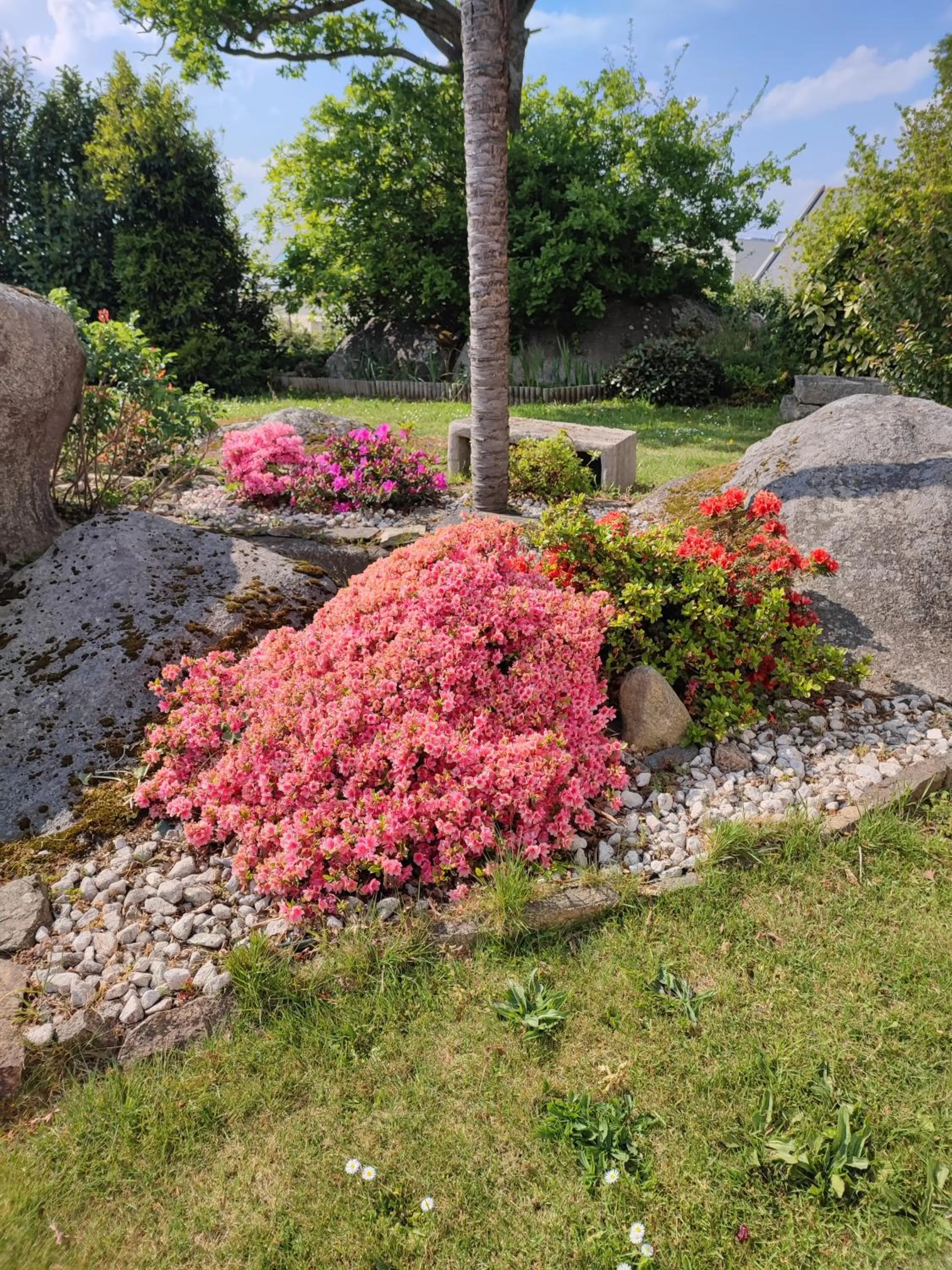 Natural landscape in Location Keransignour